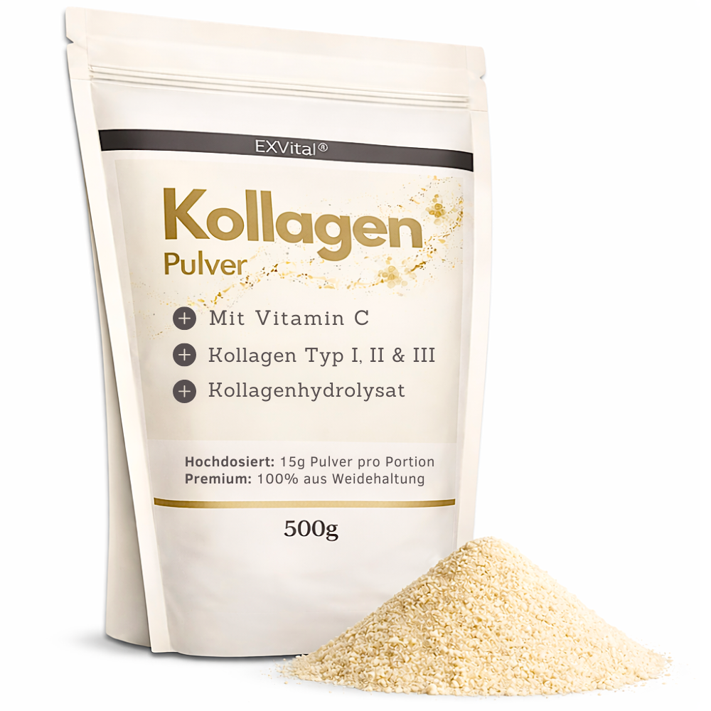 EXVital Kollagen Polvere 500g con Vitamina C