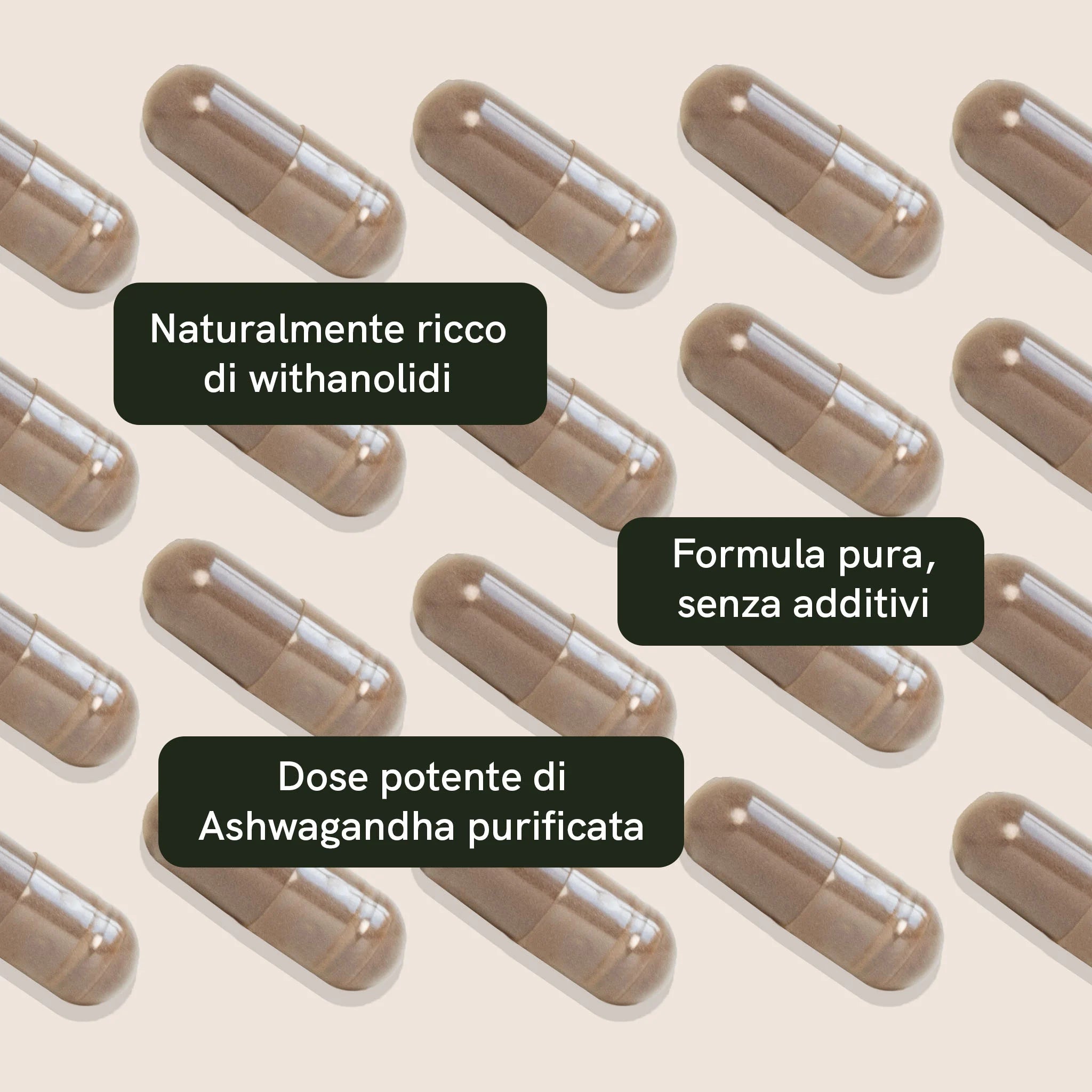 Nordic Oil Ashwagandha Capsule 120 Pezzi 500 mg