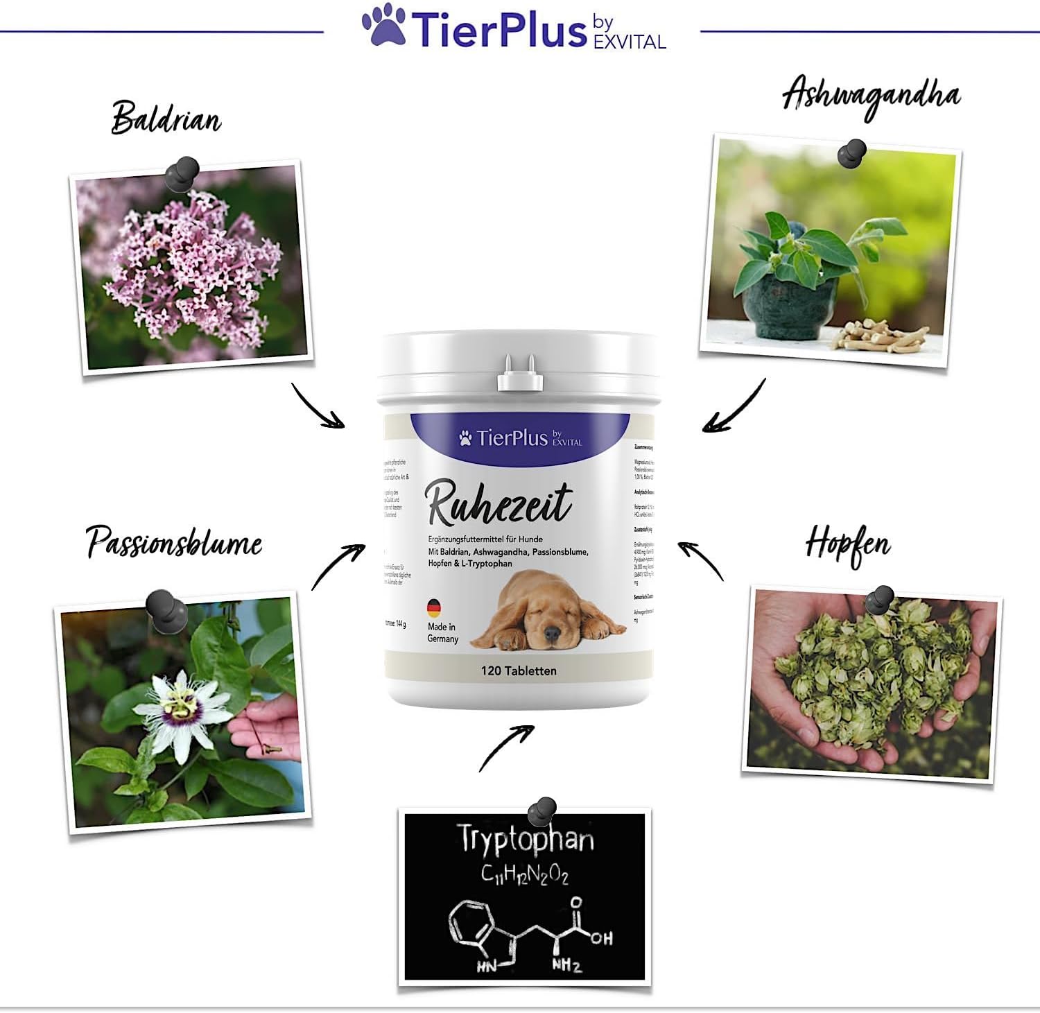 EXVital TierPlus Ruhezeit compresse cani valeriana 120 pezzi