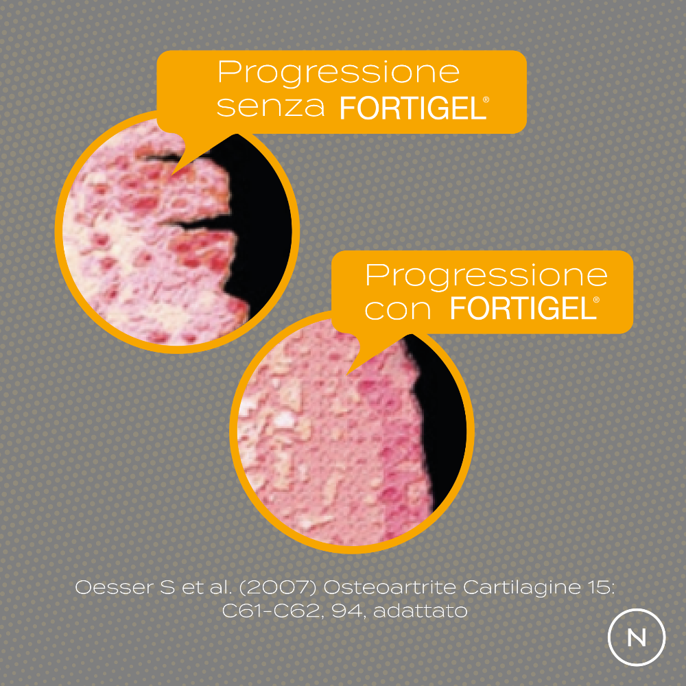 Naturecan Longevity Peptidi di Collagene Polvere 300g Vaniglia