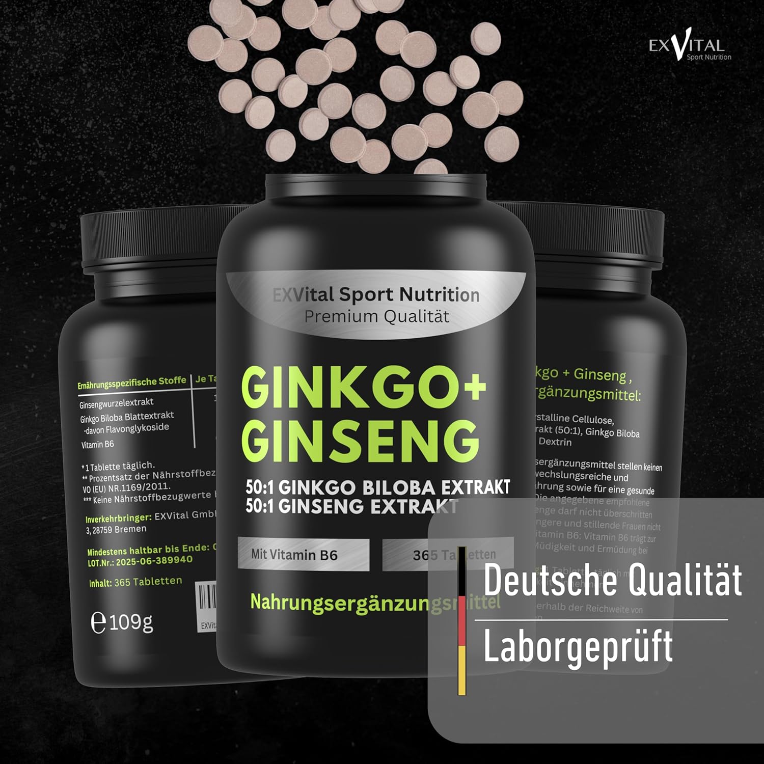 EXVital Gehirn & Fokus Ginkgo Ginseng compresse 365 pezzi 50:1
