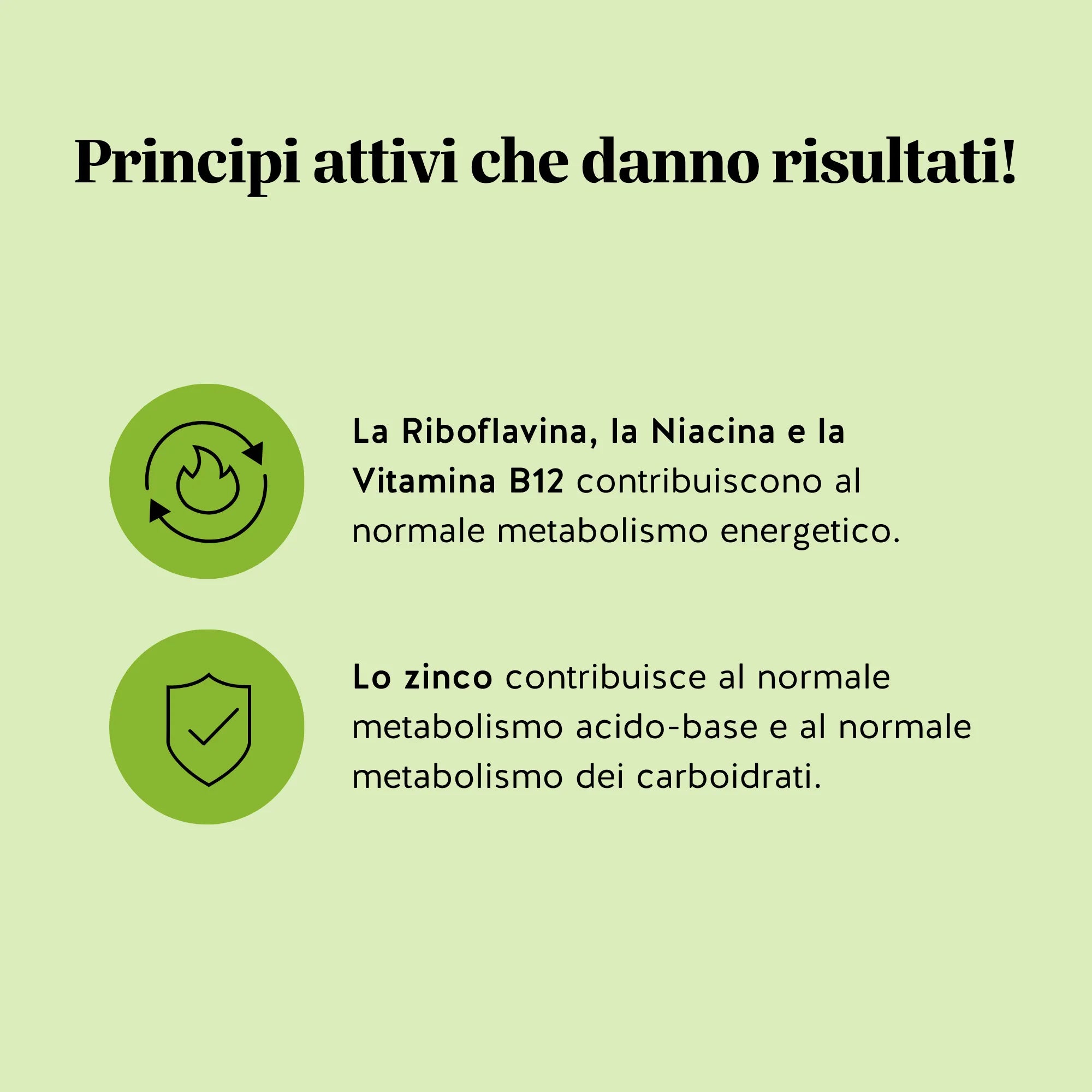 Beauty Bears My Metabolic integratore matcha 45 orsetti zinco