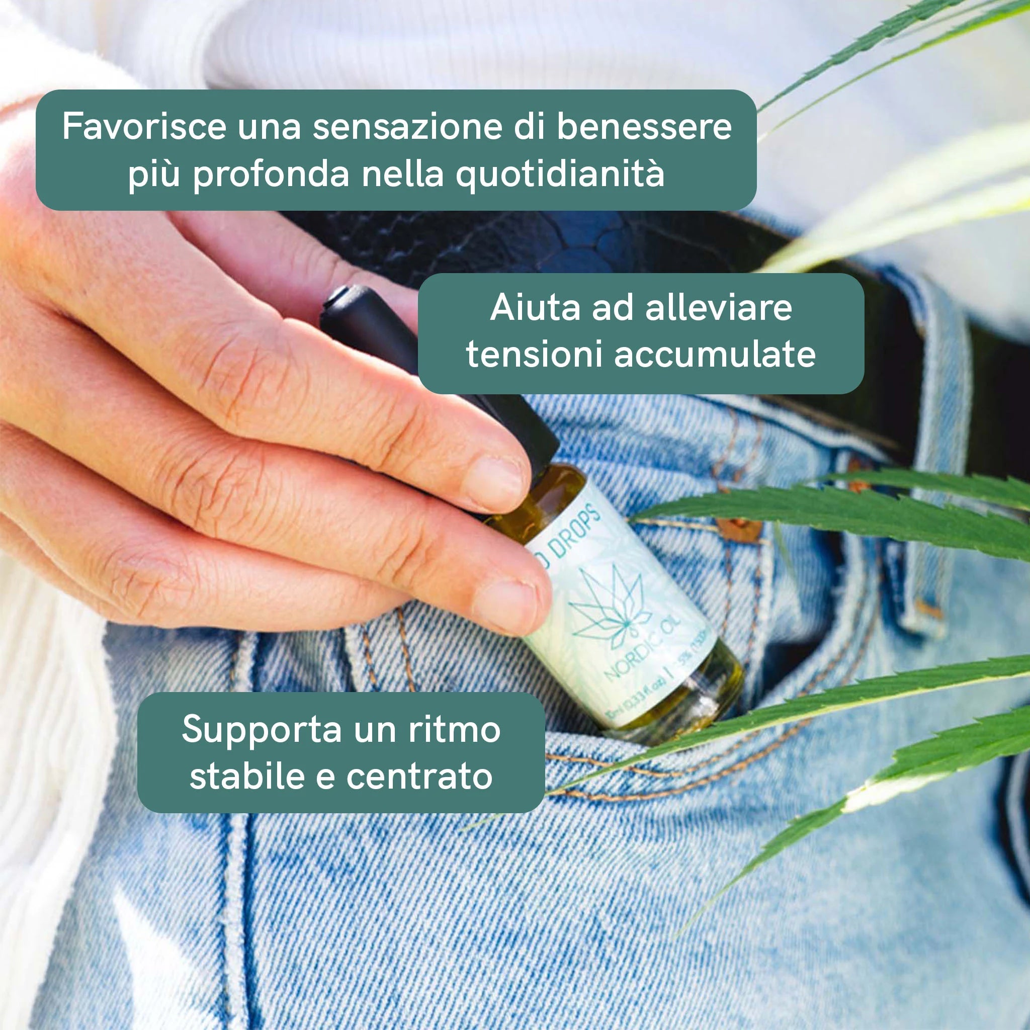Nordic Oil CBD Classic 15% Olio 3x2 Ampio Spettro