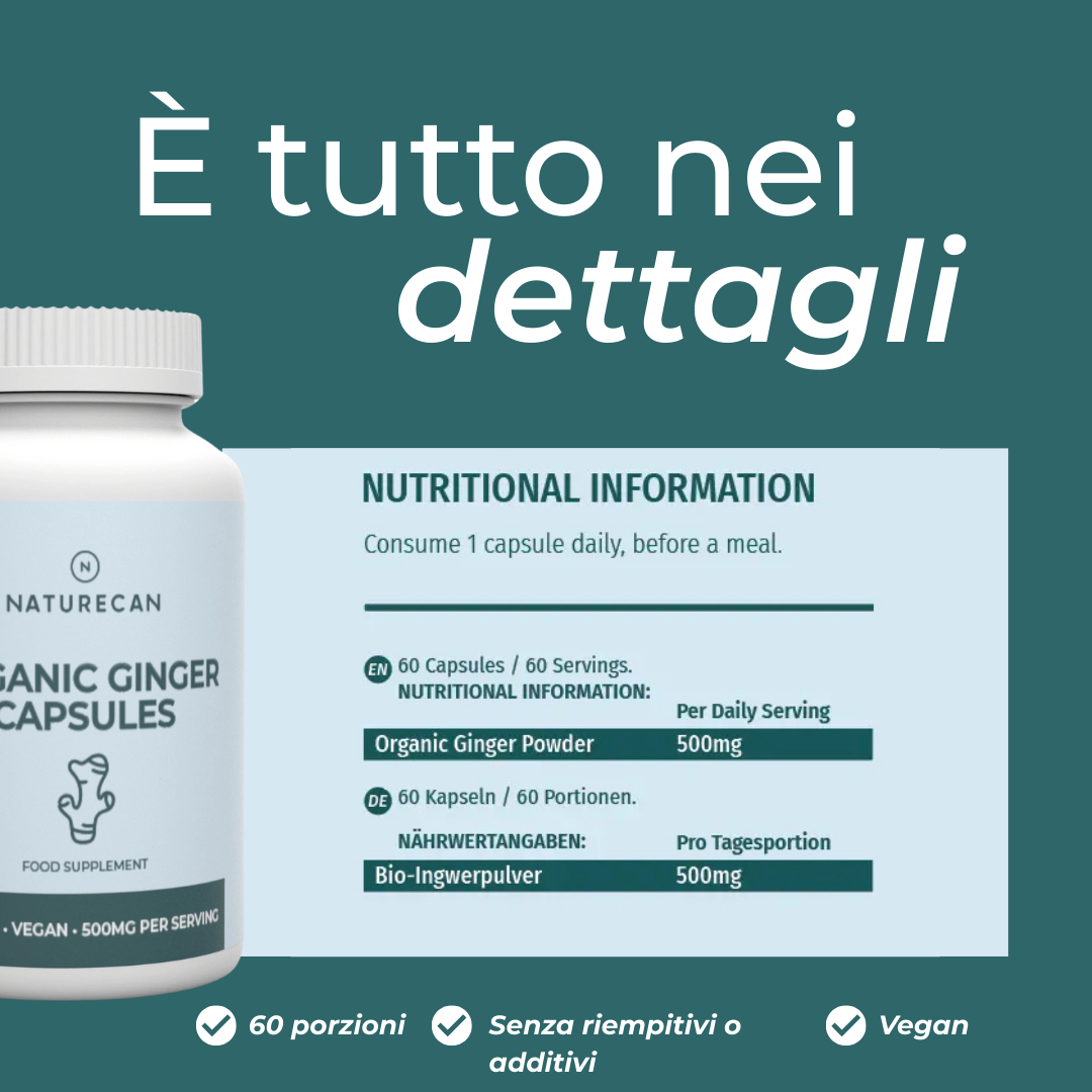 Naturecan zenzero biologico capsule 180 digestione