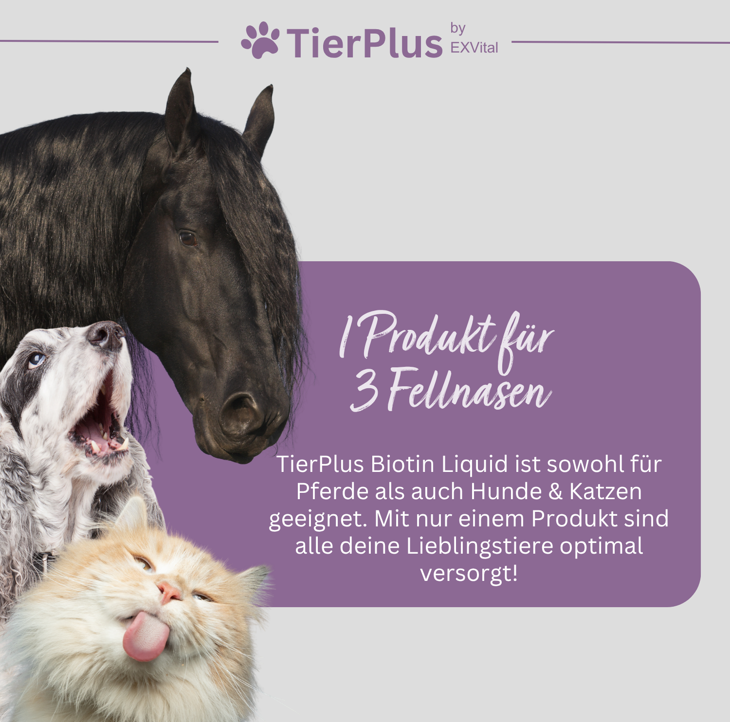 EXVital TierPlus Biotina Liquida cavalli cani gatti zinco