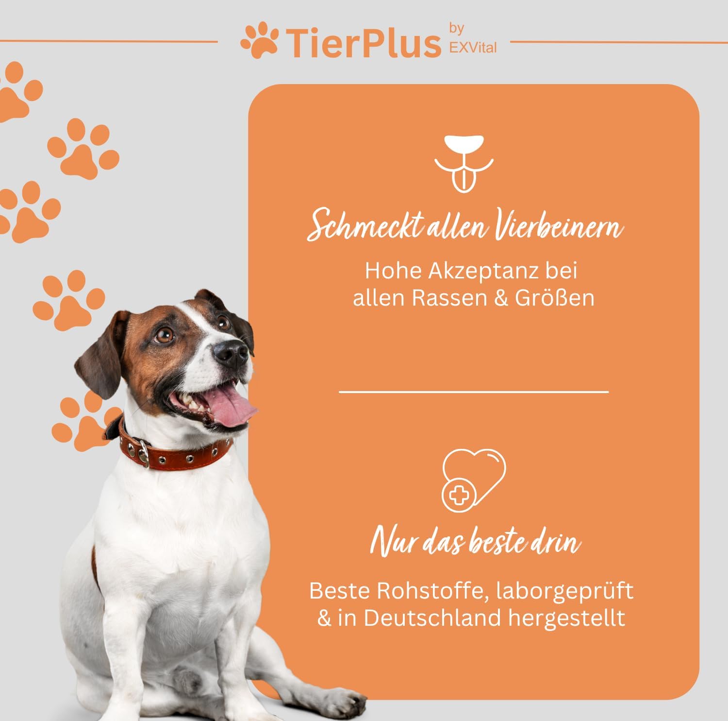 EXVital TierPlus Barf olio cani e cavalli omega 3