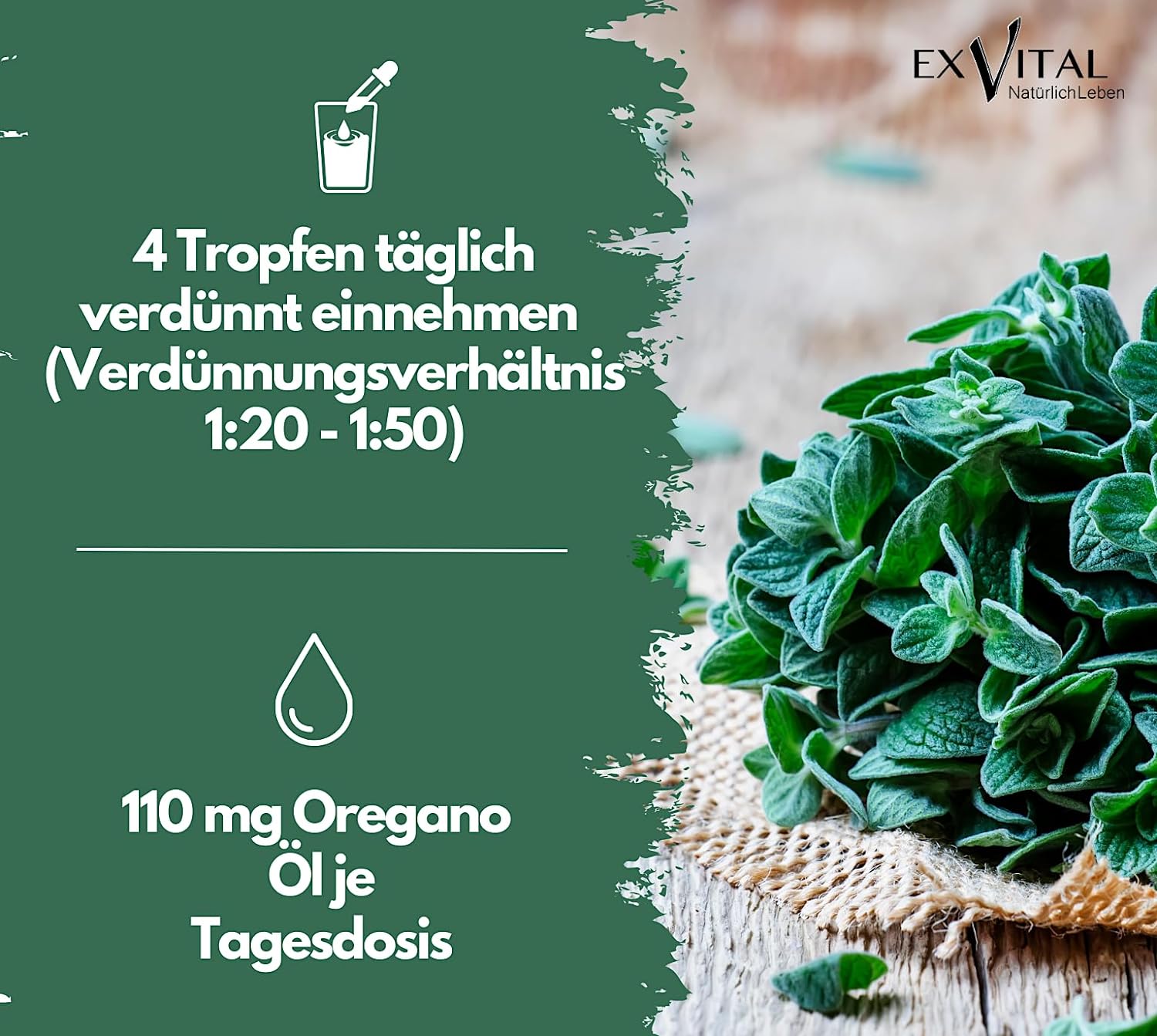 EXVital Immunsystem Olio Origano 80% Carvacrolo 30 ml