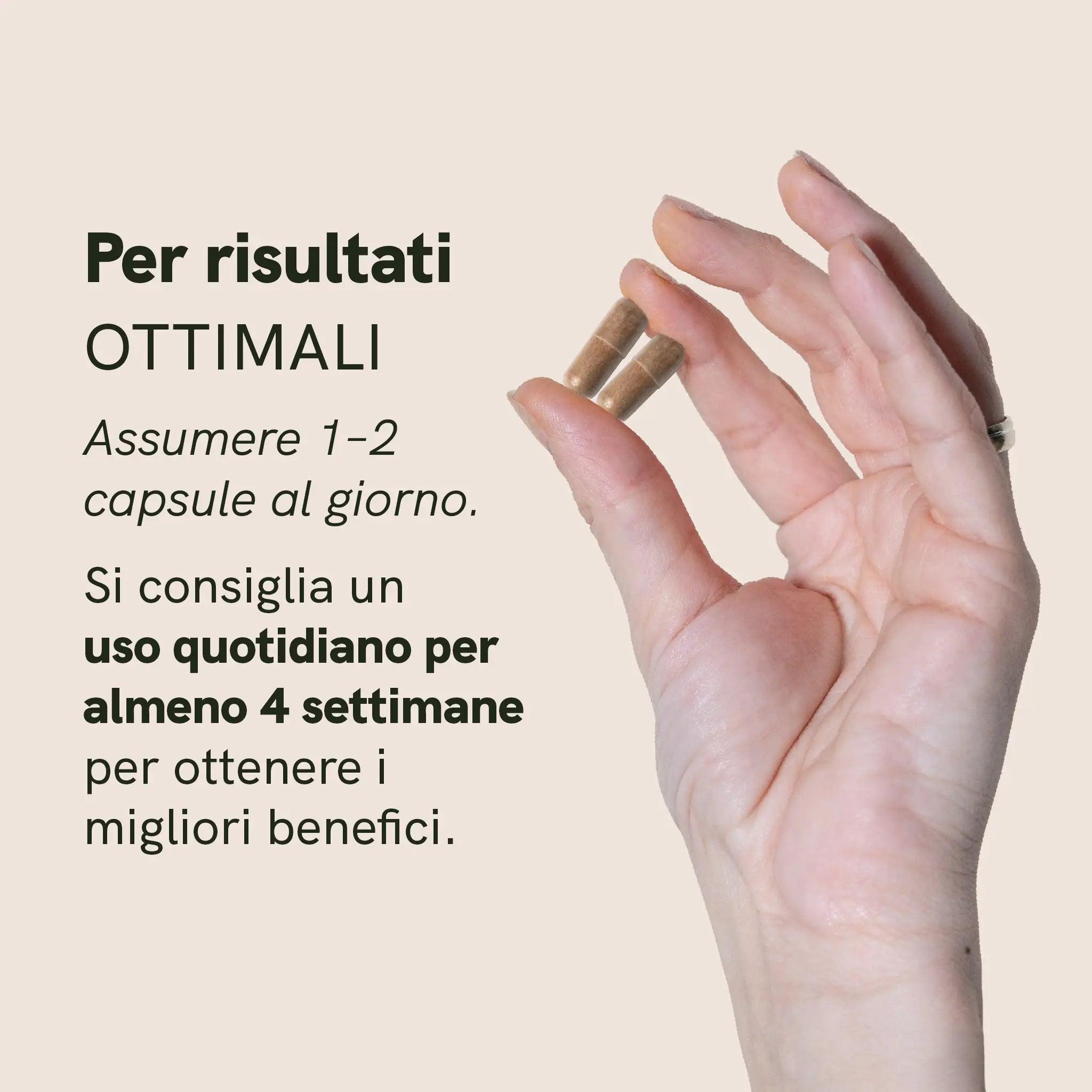 Nordic Oil CBD Capsules Rhodiola Rosea Capsule vegane