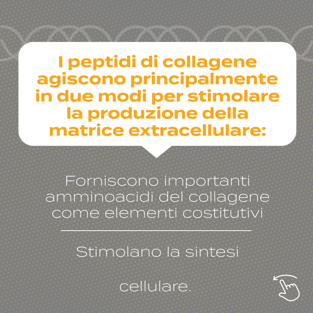 Naturecan Longevity Peptidi di Collagene Polvere 300g Vaniglia