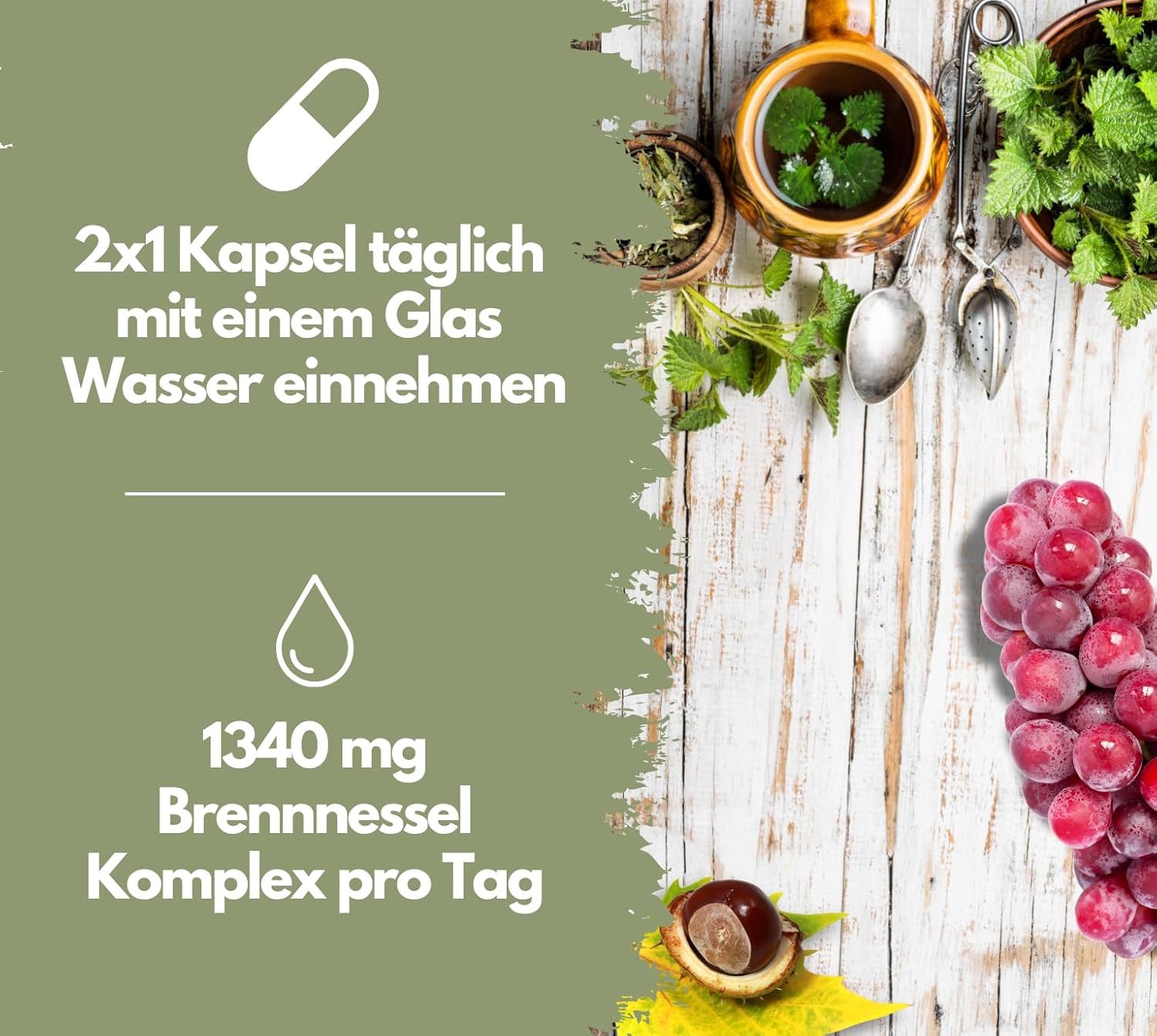 EXVital Frauengesundheit Brennnessel Komplex capsule 120 pz vite rossa