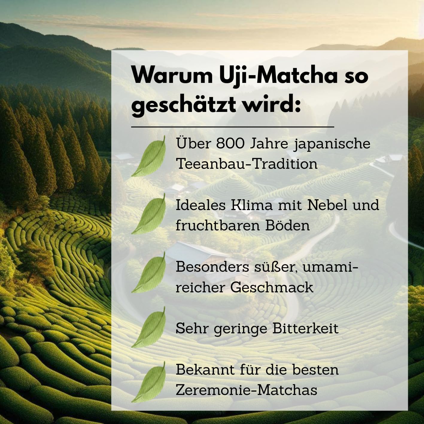 EXVital Matcha Ceremonial Grade tè matcha 100 g Uji Giappone