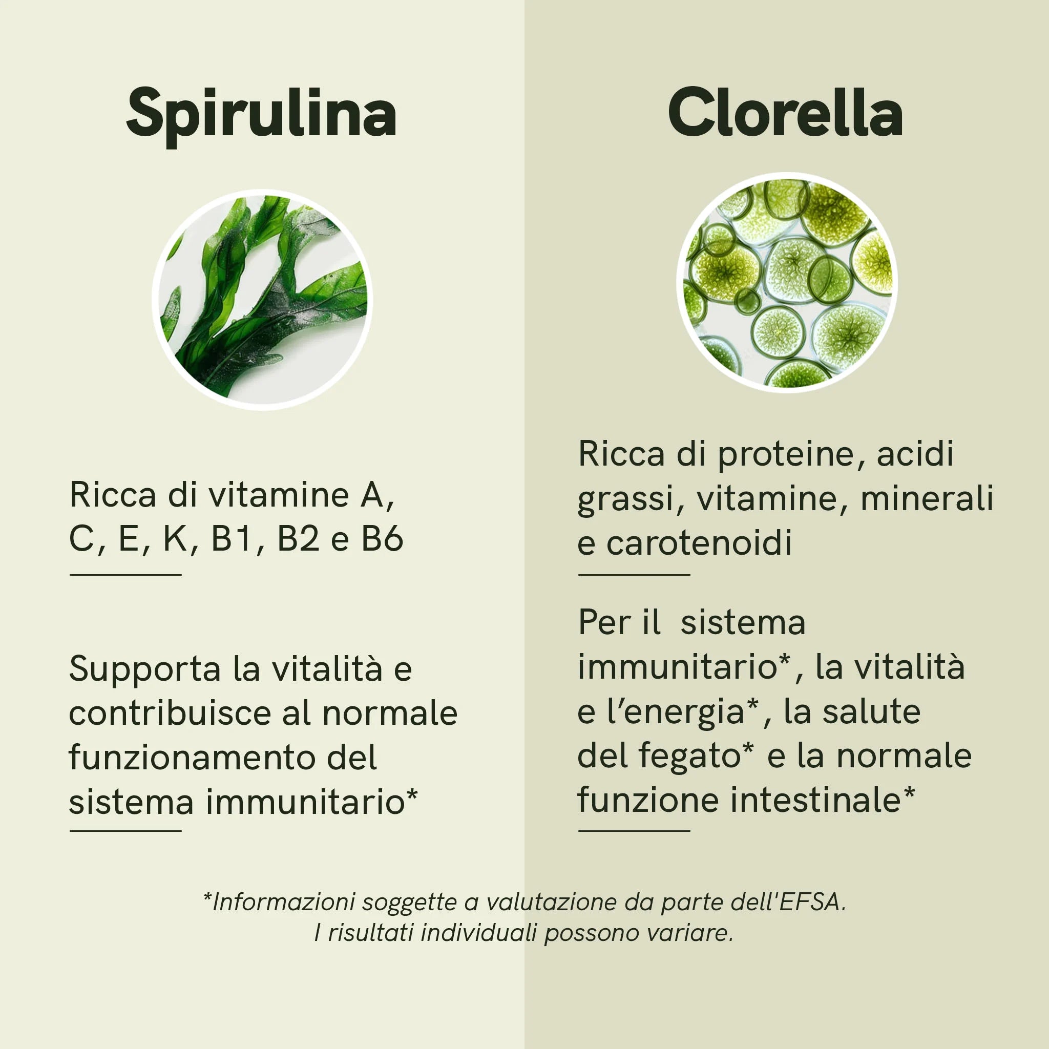 Nordic Oil spirulina e clorella polvere bio 250g