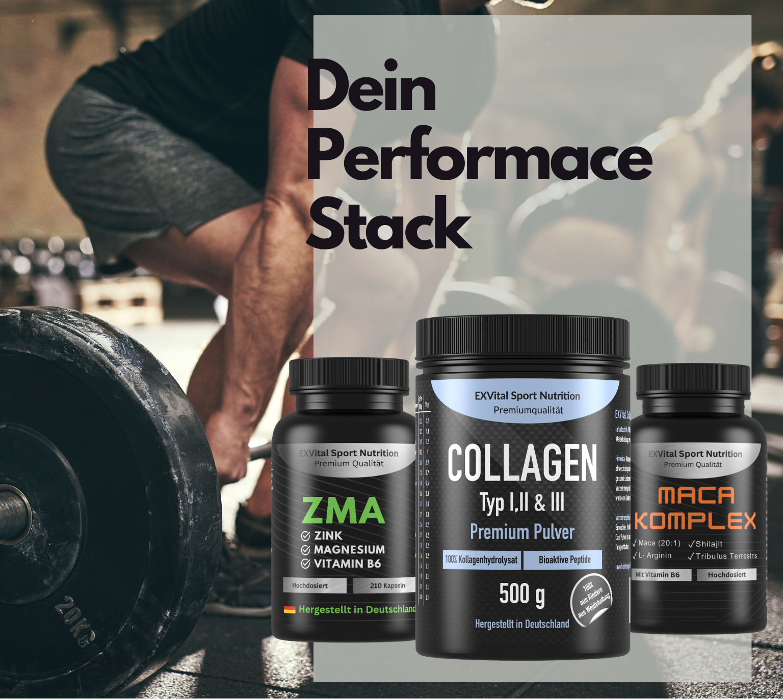 EXVital Performance Stack collagene ZMA maca sport
