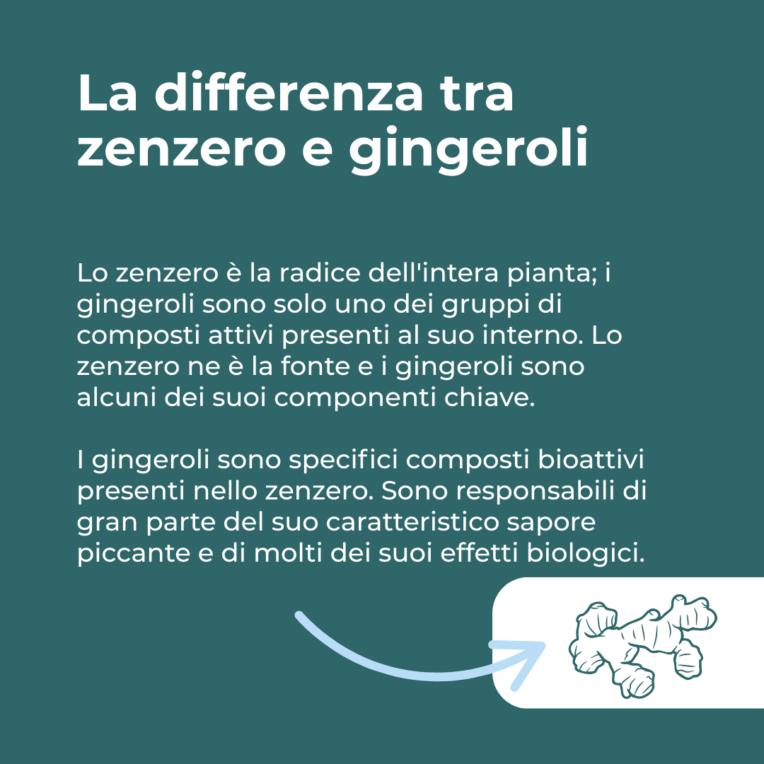 Naturecan zenzero biologico capsule 180 digestione