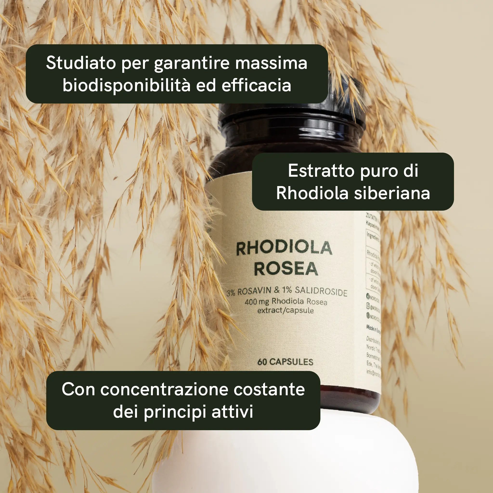 Nordic Oil CBD Capsules Rhodiola Rosea Capsule vegane