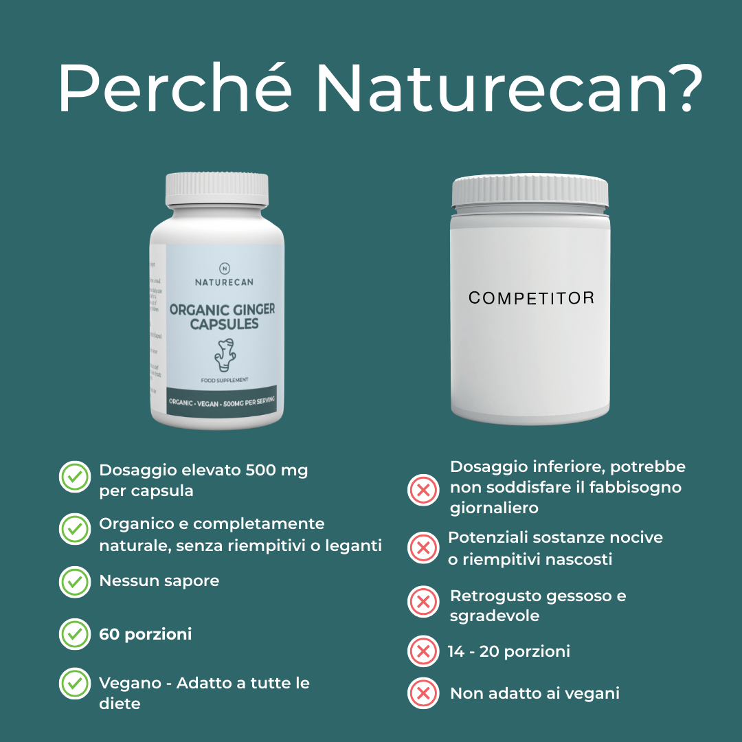 Naturecan zenzero biologico capsule 180 digestione