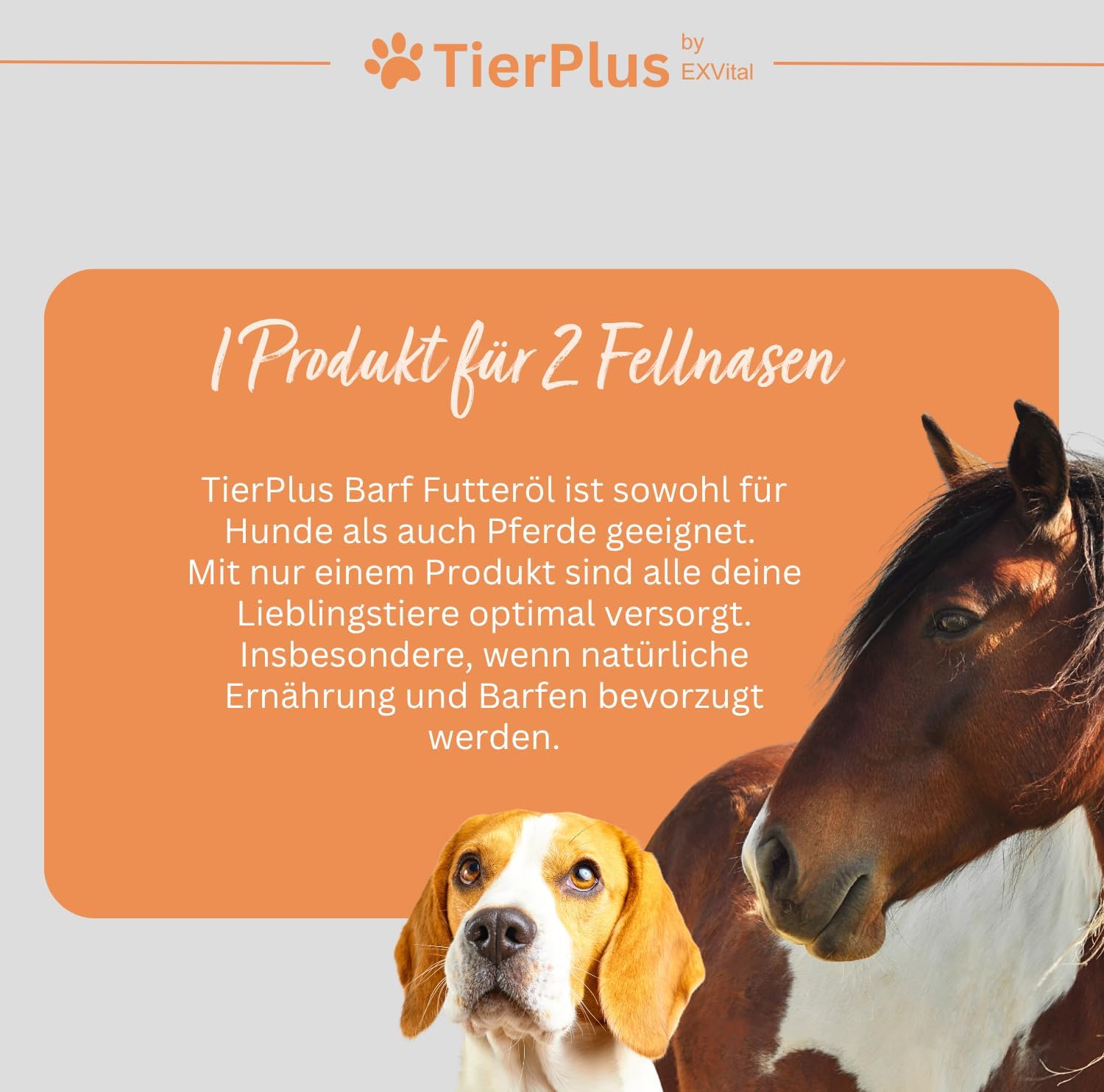 EXVital TierPlus Barf olio cani e cavalli omega 3