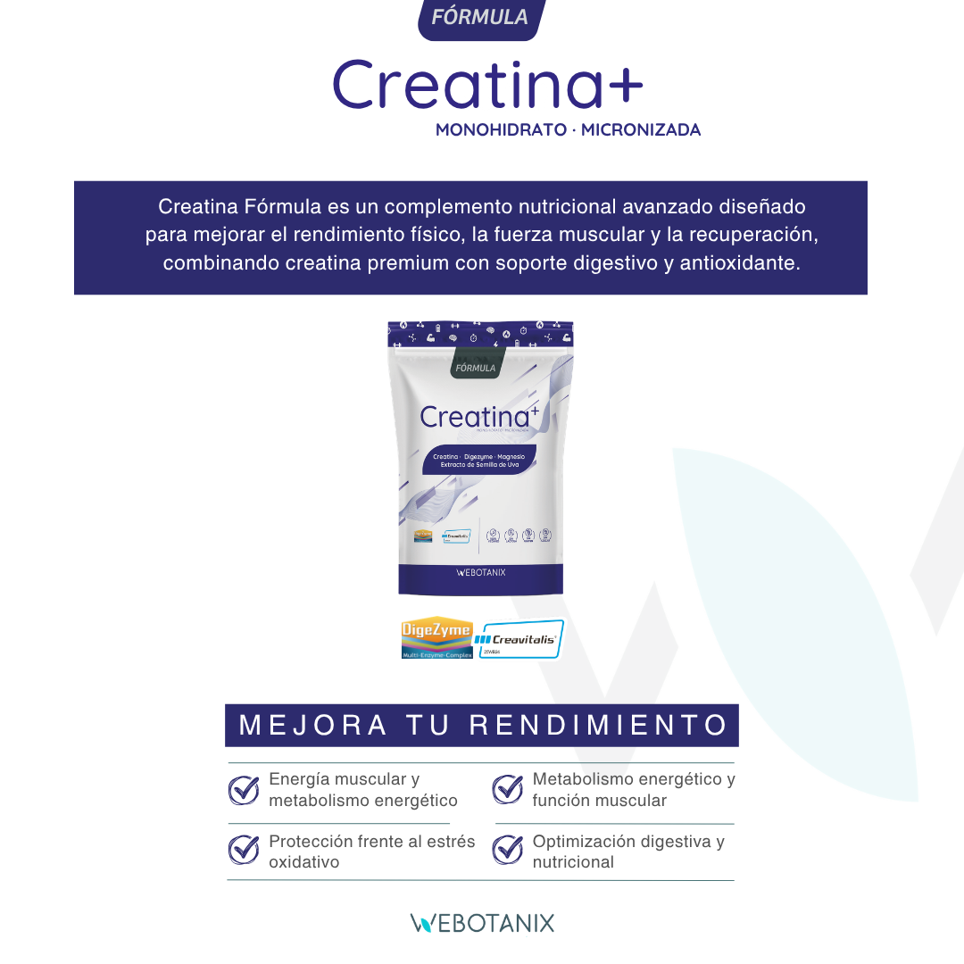 Webotanix Fórmula Creatina integratore energia
