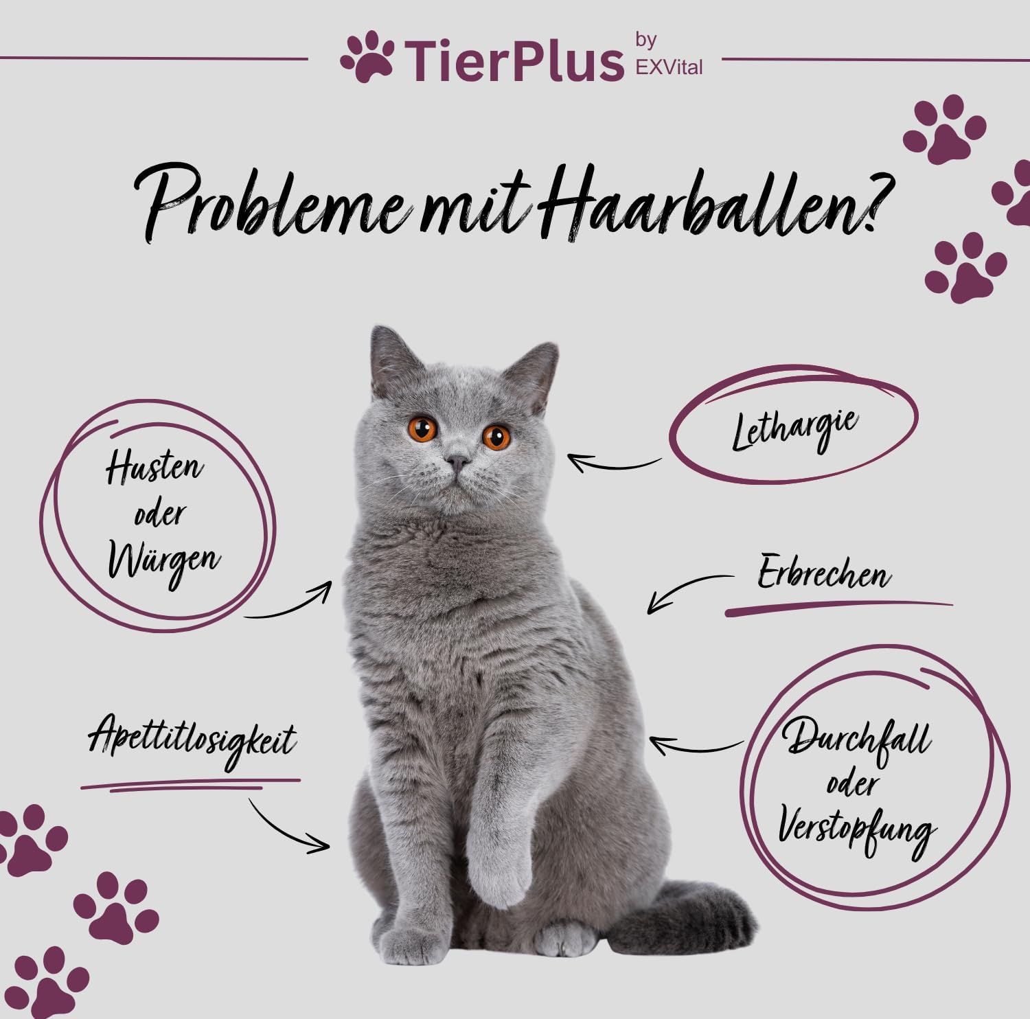 EXVital TierPlus Anti Hairball polvere gatti olio salmone