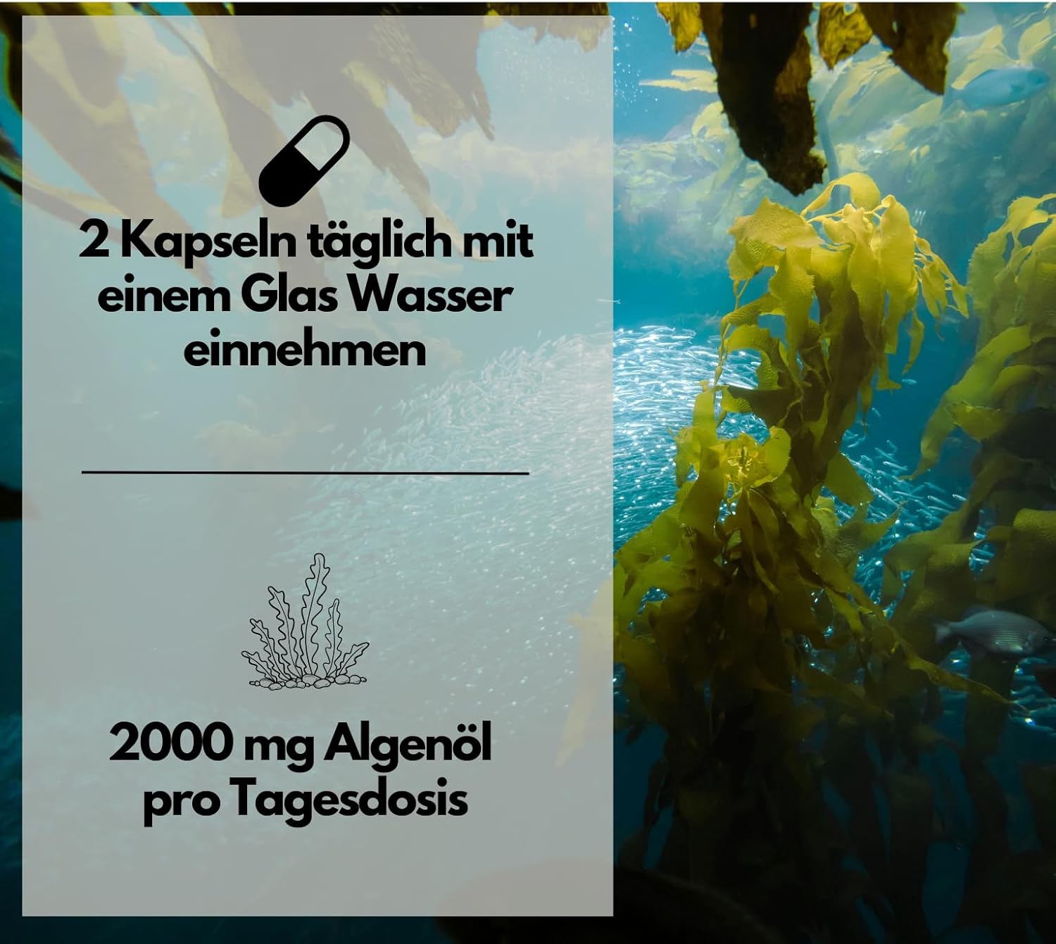 EXVital Herz Kreislauf omega 3 alghe 120 softgel