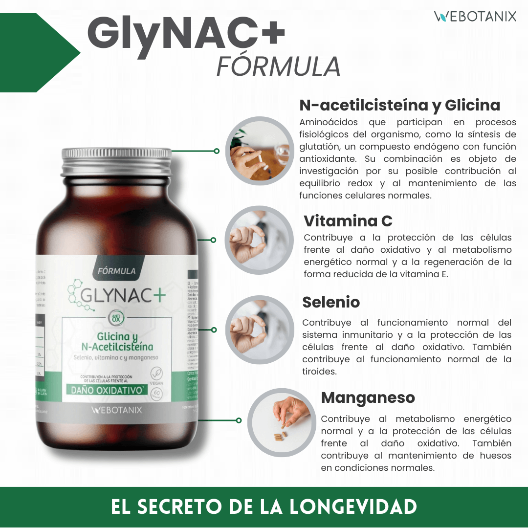 Webotanix Formula GlyNAC 60 capsule NAC glicina antiossidante