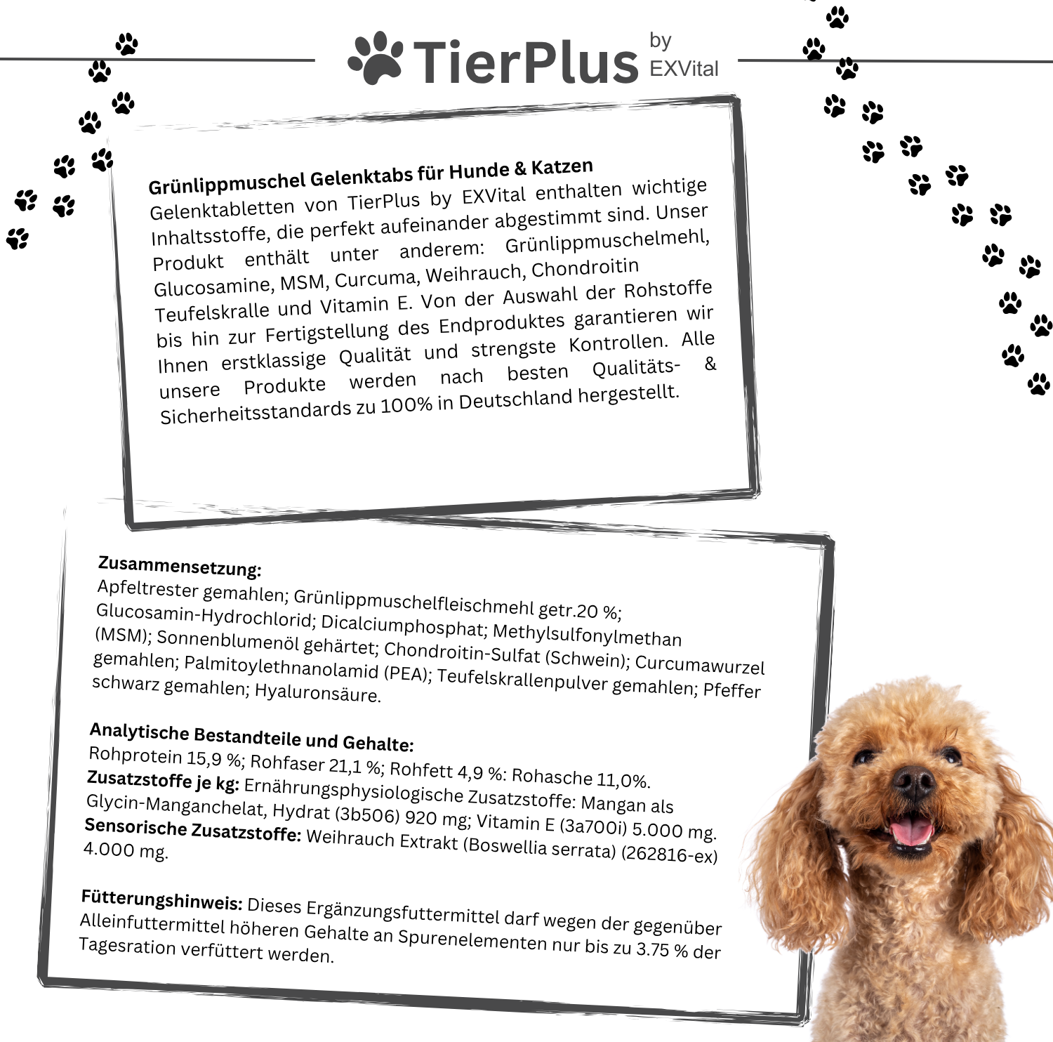 EXVital Grünlippmuschel Plus compresse cani 120 pz