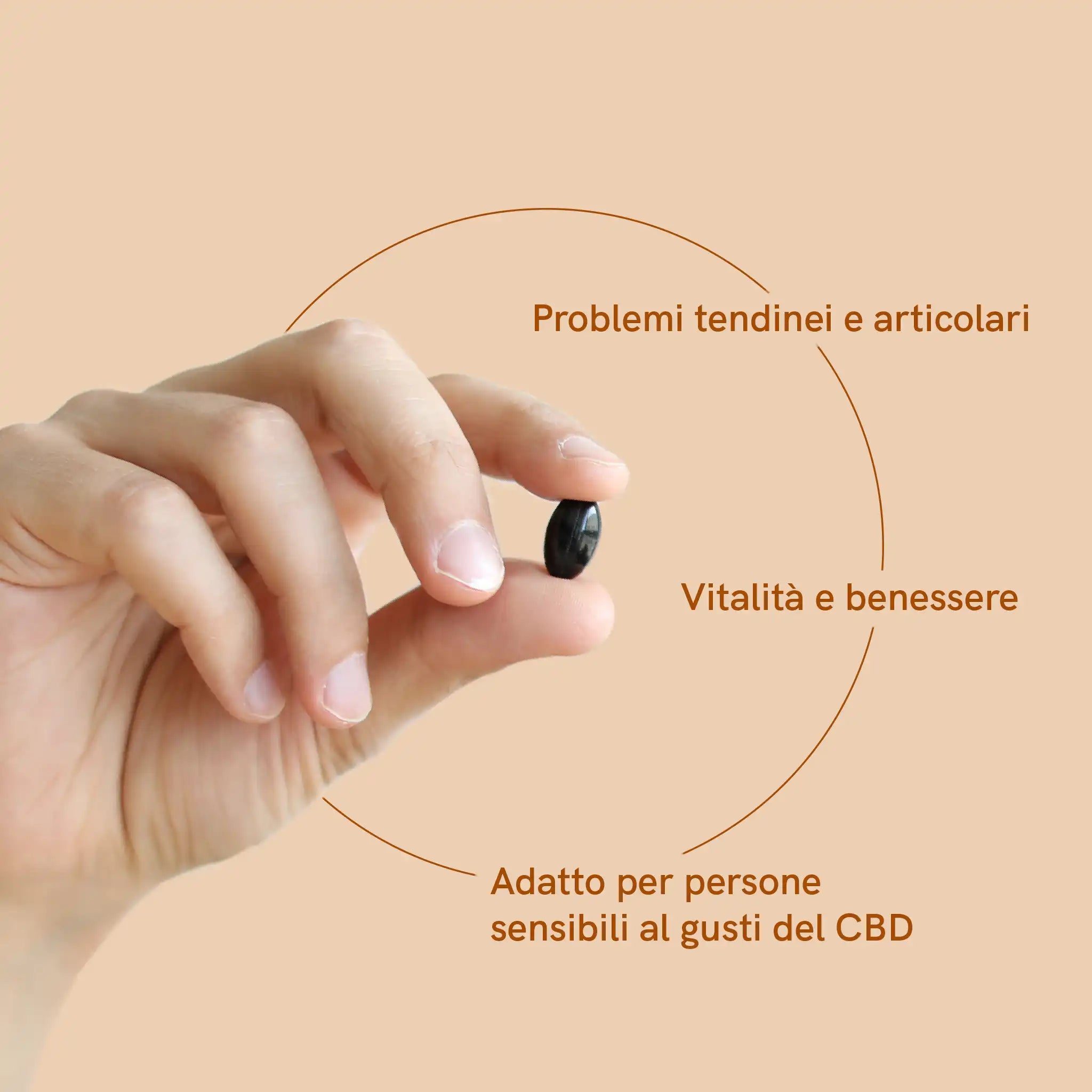 Nordic Oil CBD con Curcumina capsule 960mg 3x2 dosaggio standard