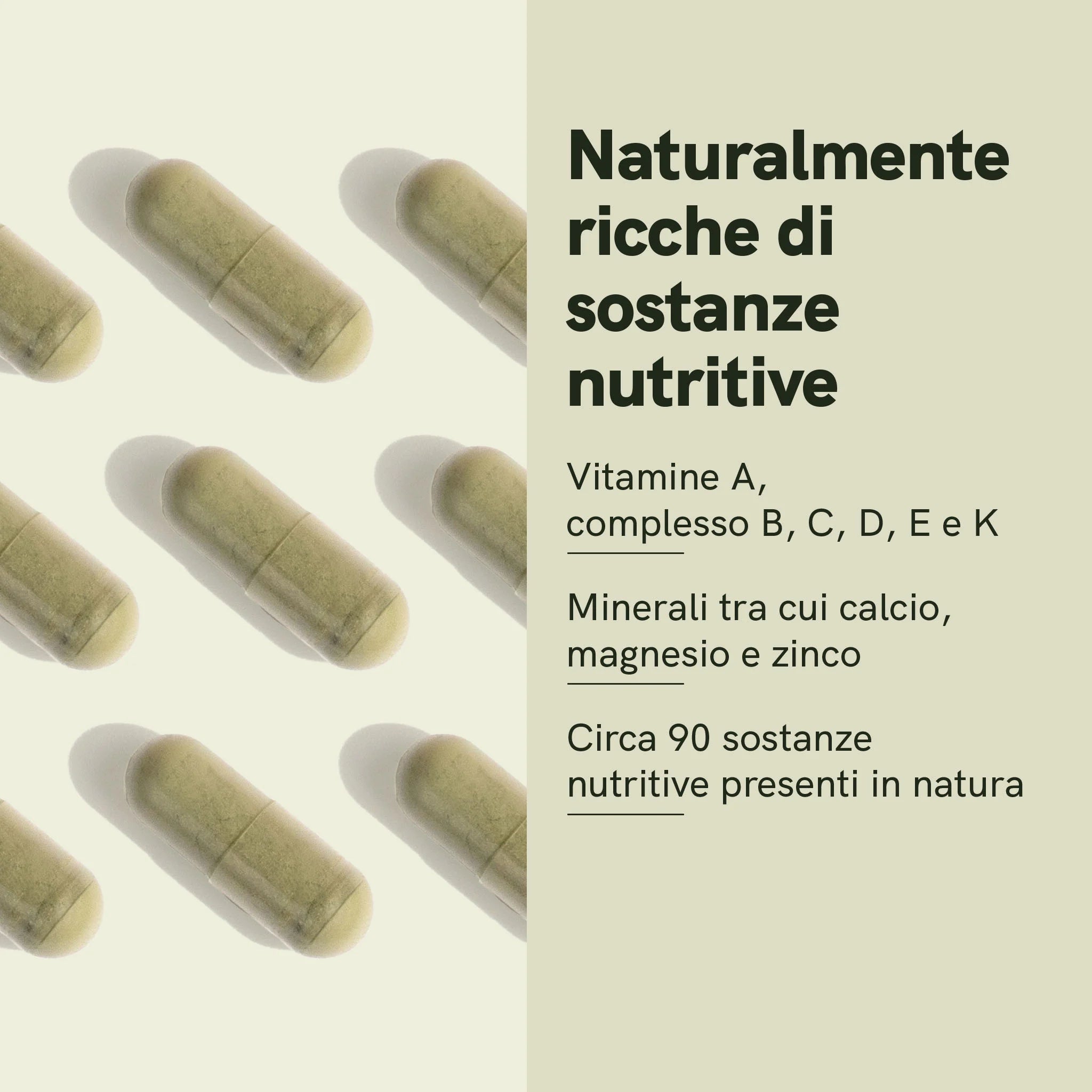 Nordic Oil CBD Capsules Moringa 400 mg Capsule bio