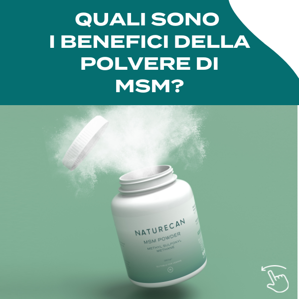 Naturecan MSM in Polvere Puro 100% Integratore Articolazioni