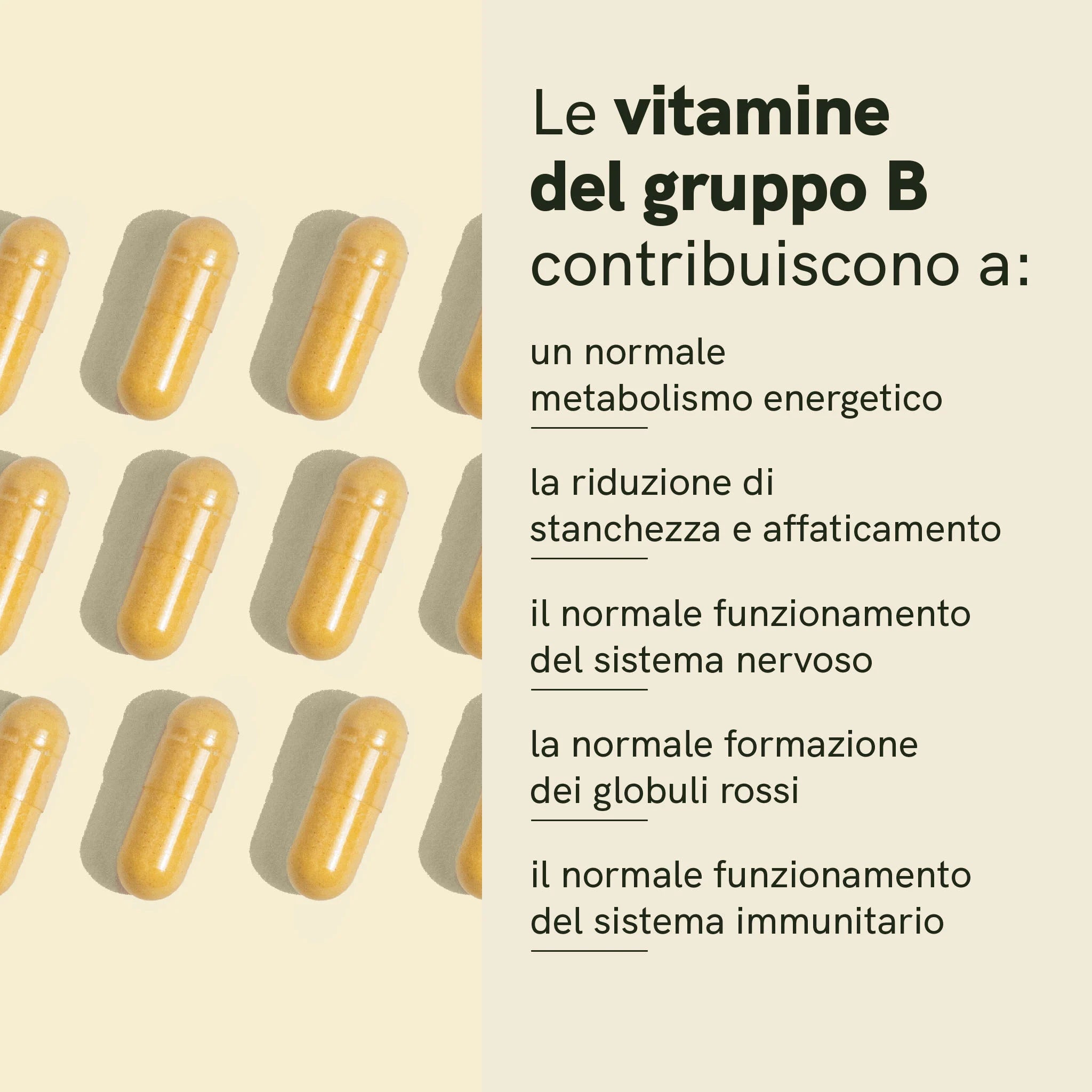 Nordic Oil Complesso Vitamina B capsule energia vegane
