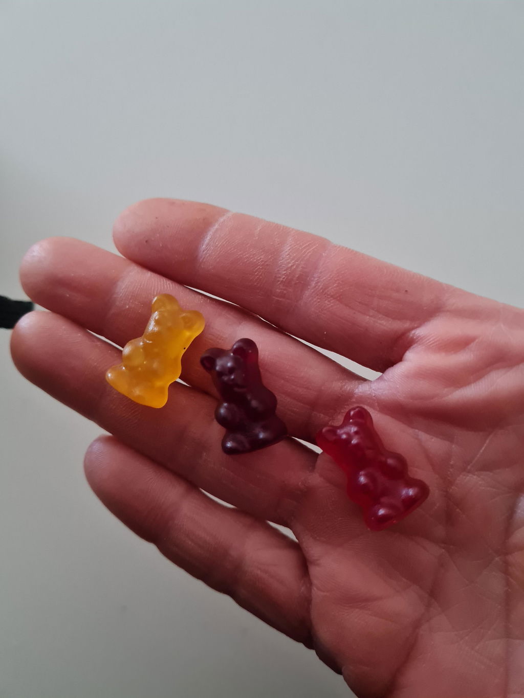 Beauty Bears Duo Vitalità Quotidiana orsetti vitamine DHA microalghe