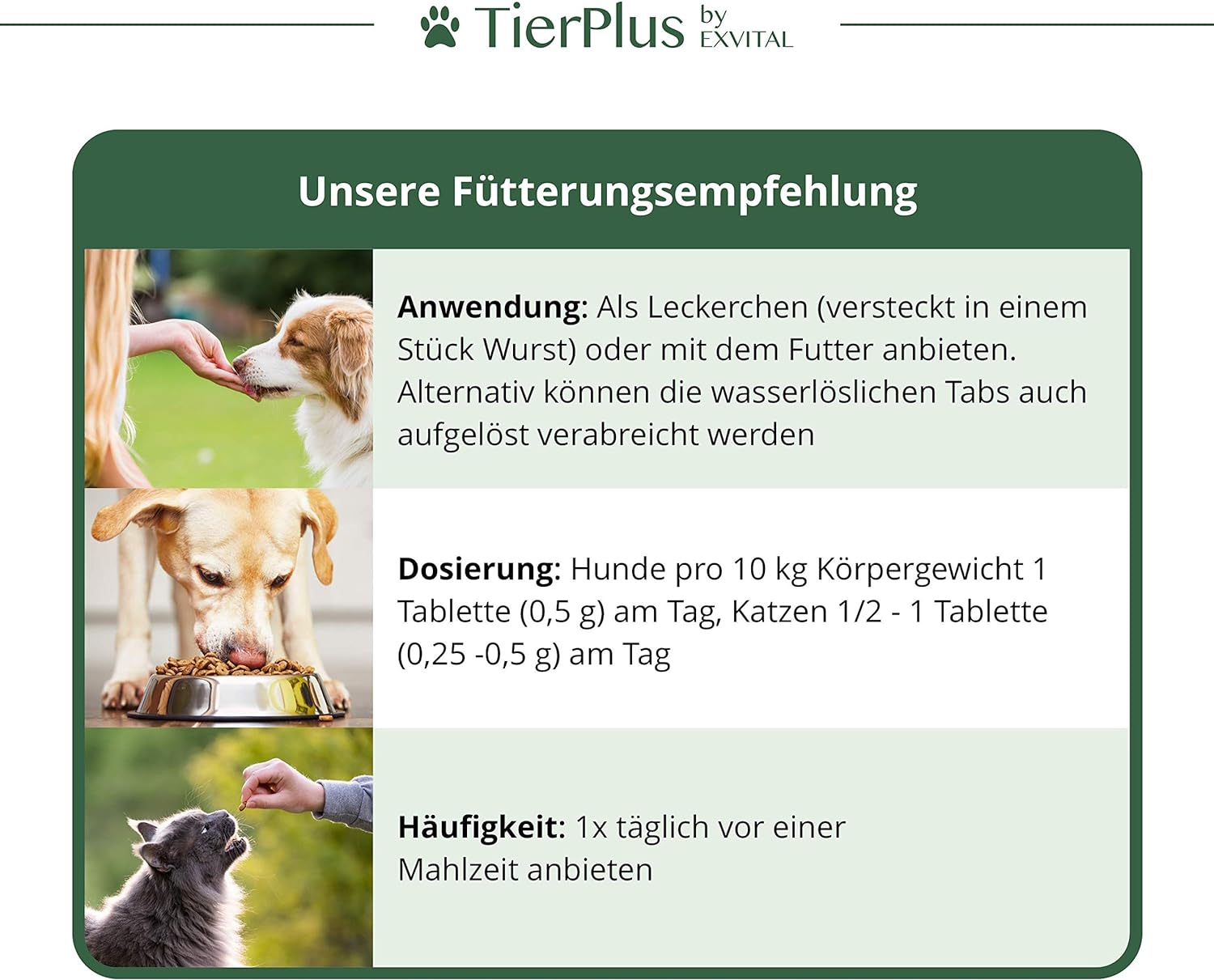 EXVital Tierplus Vitamina B Complex 120 compresse cani gatti