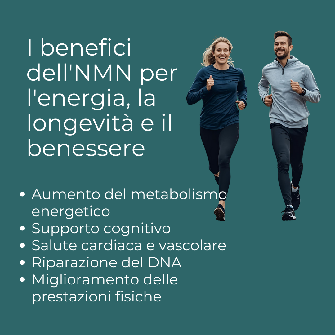 Naturecan Longevity NMN 500 mg capsule 60 capsule NAD+