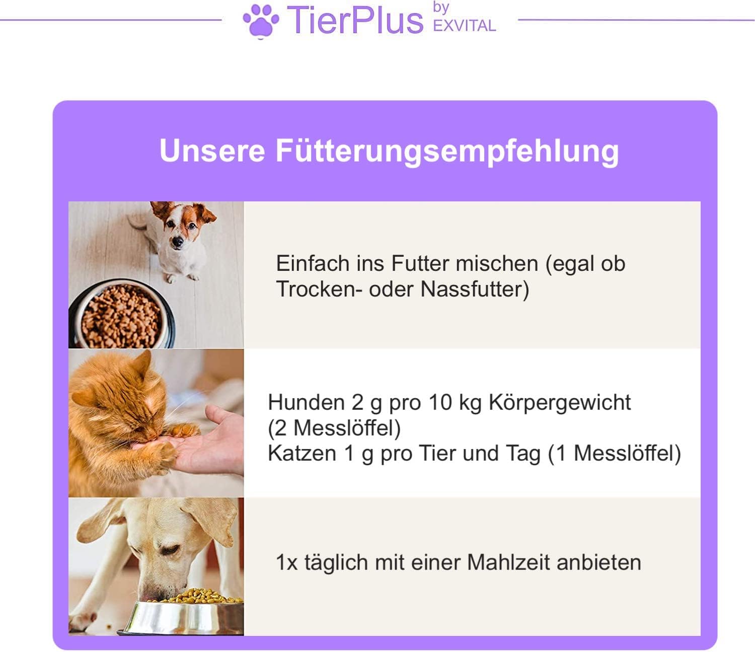 EXVital TierPlus polvere articolazioni cani gatti cozza verde
