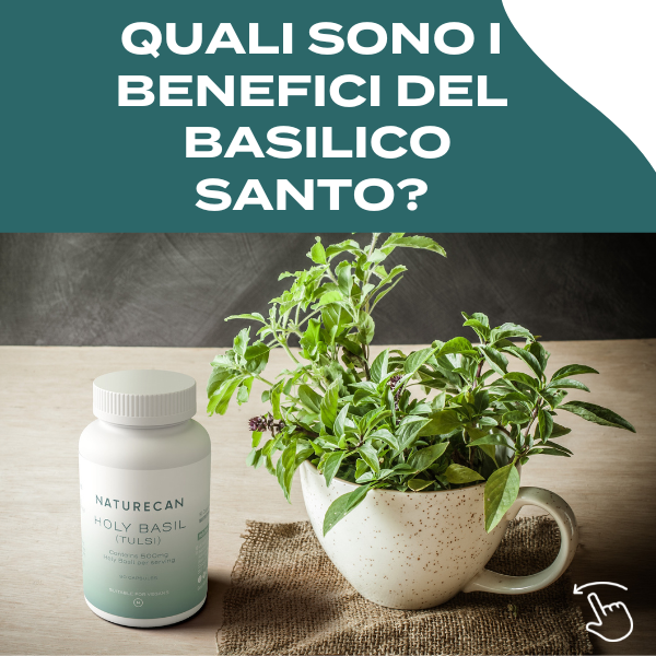 Naturecan Adaptogens Basilico Santo capsule 500 mg