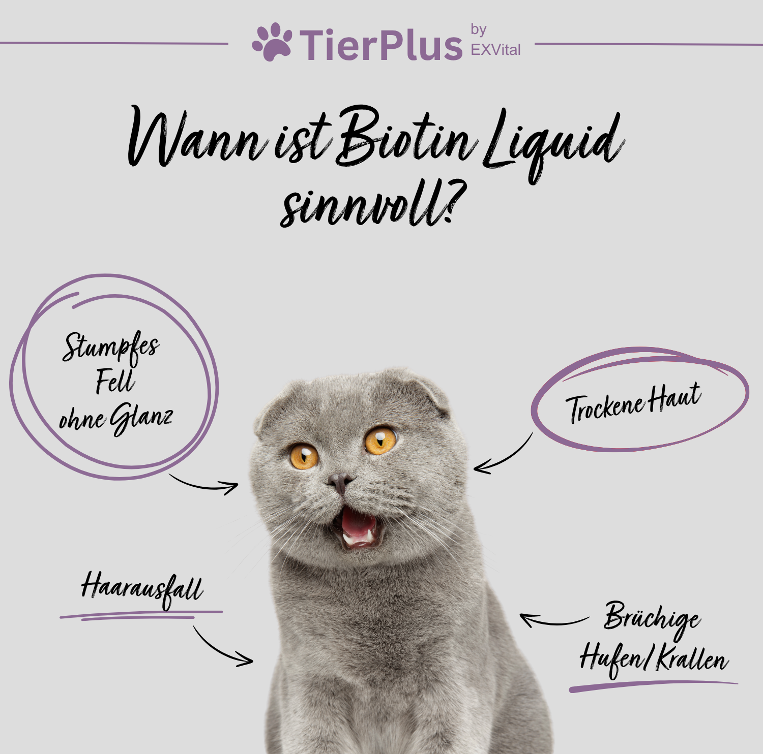 EXVital TierPlus Biotina Liquida cavalli cani gatti zinco