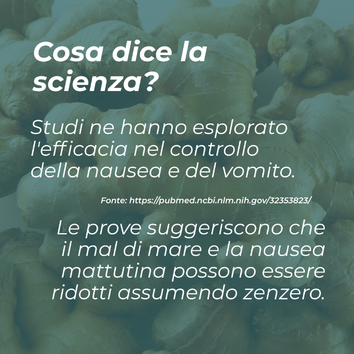 Naturecan zenzero biologico capsule 180 digestione
