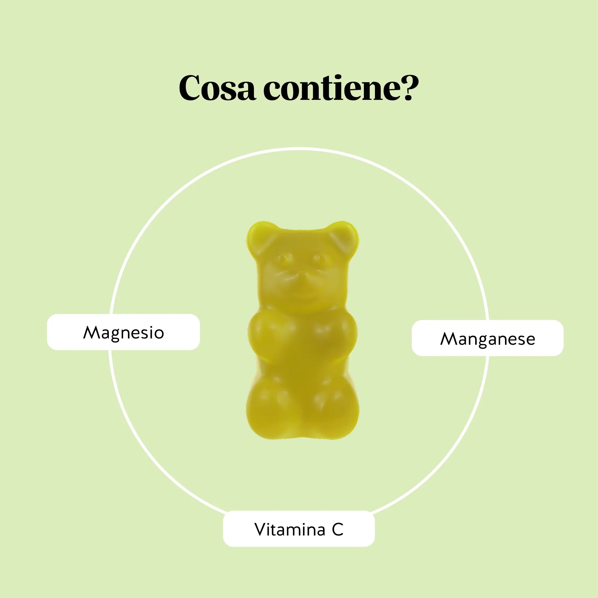Beauty Bears Duo Forme gommose 45 giorni gambe abbronzatura