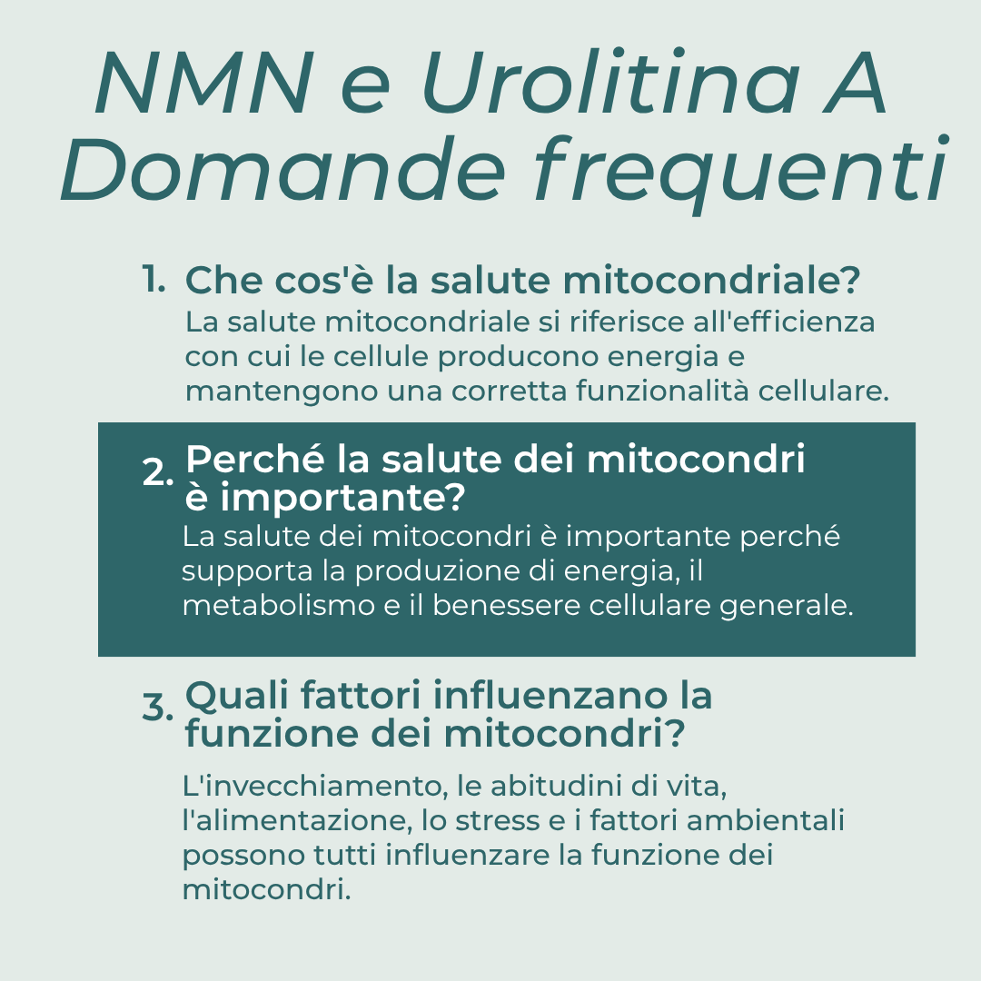 Naturecan Bundles NMN Urolitina A Integratore 60 Capsule Energia