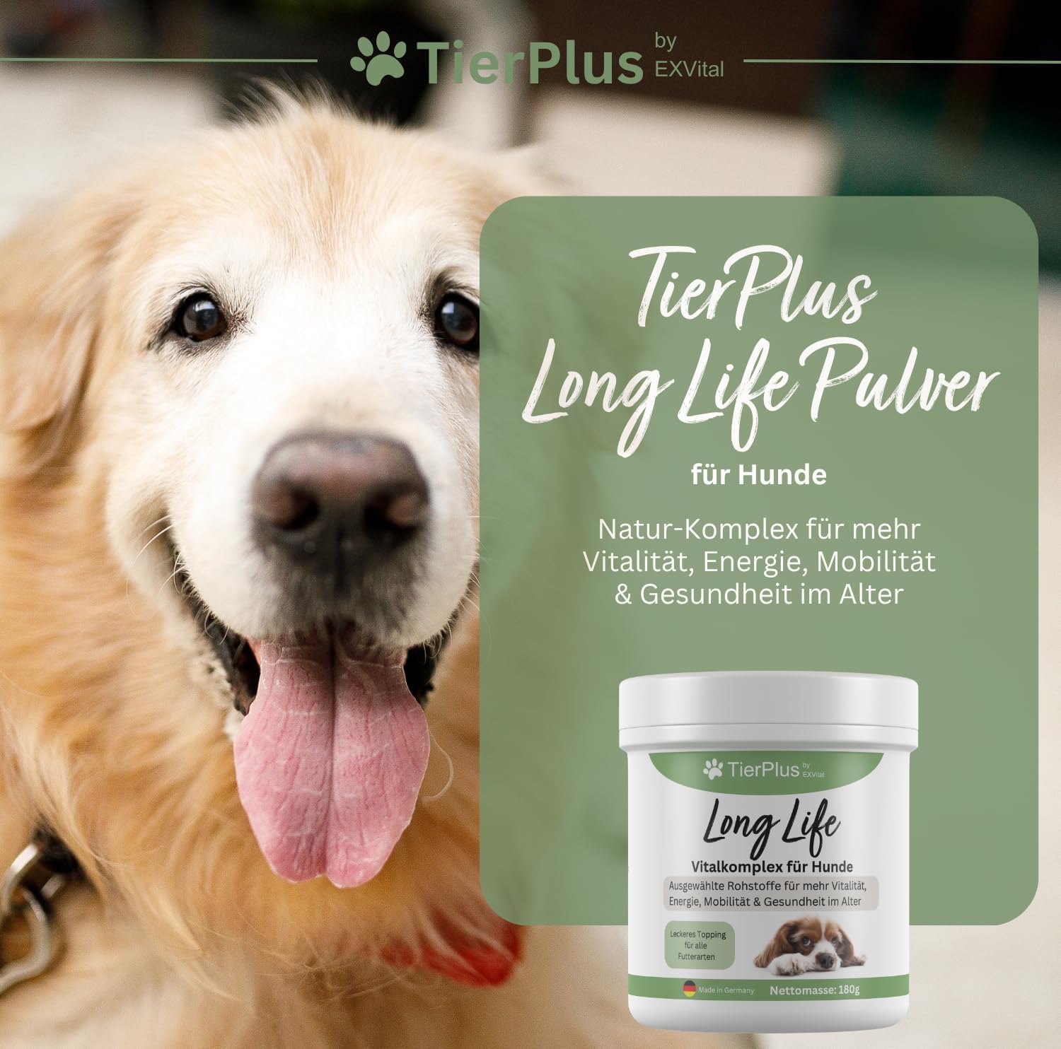 EXVital TierPlus Long Life polvere cani senior omega 3