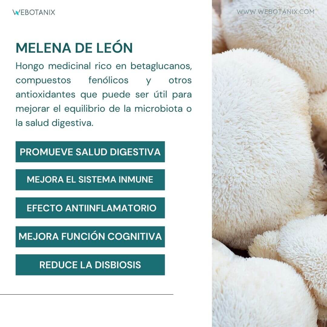 Webotanix Probiotax Microbiota capsule 60 simbiotico