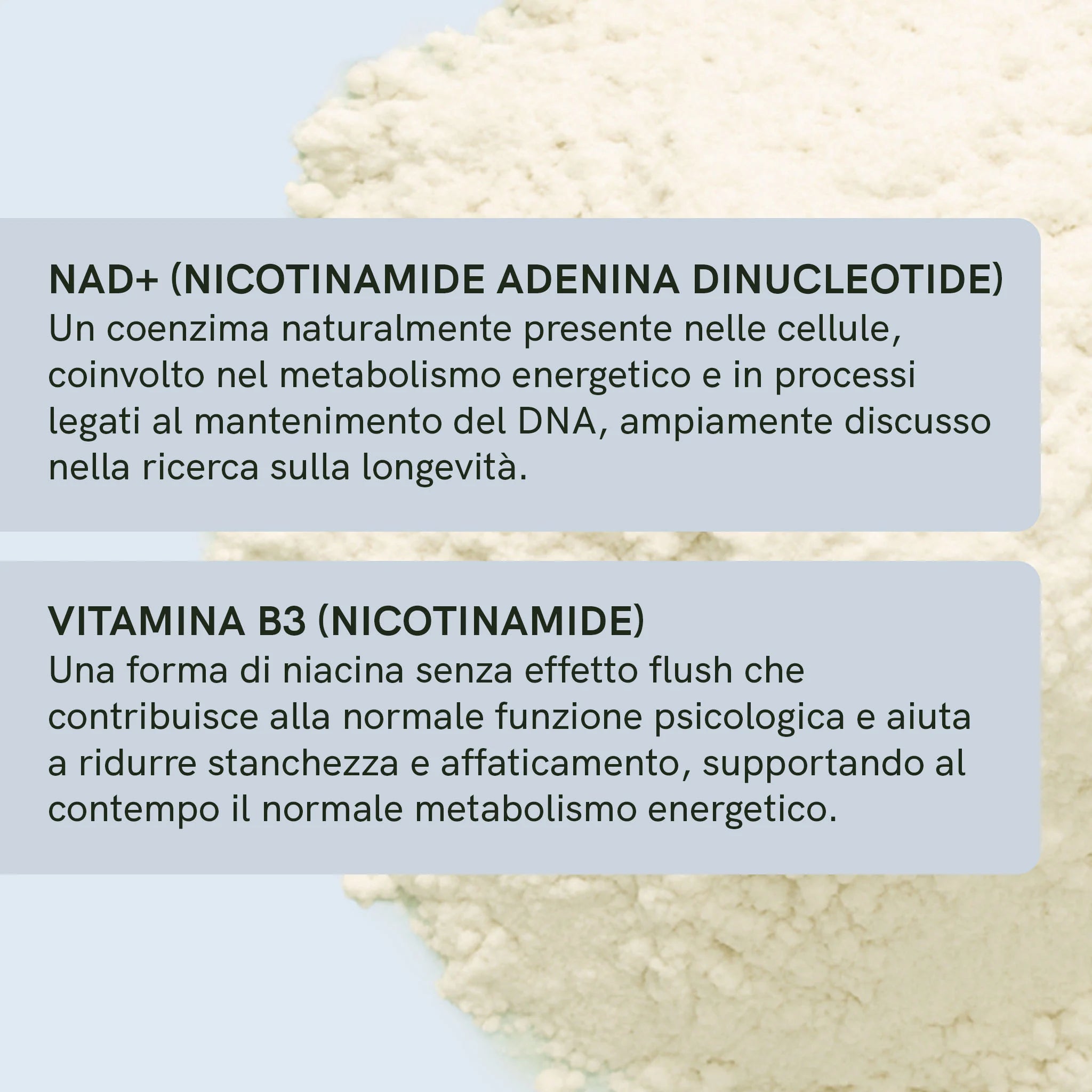 Nordic Oil NAD+ Capsule 300 mg 60 Capsule Vegane