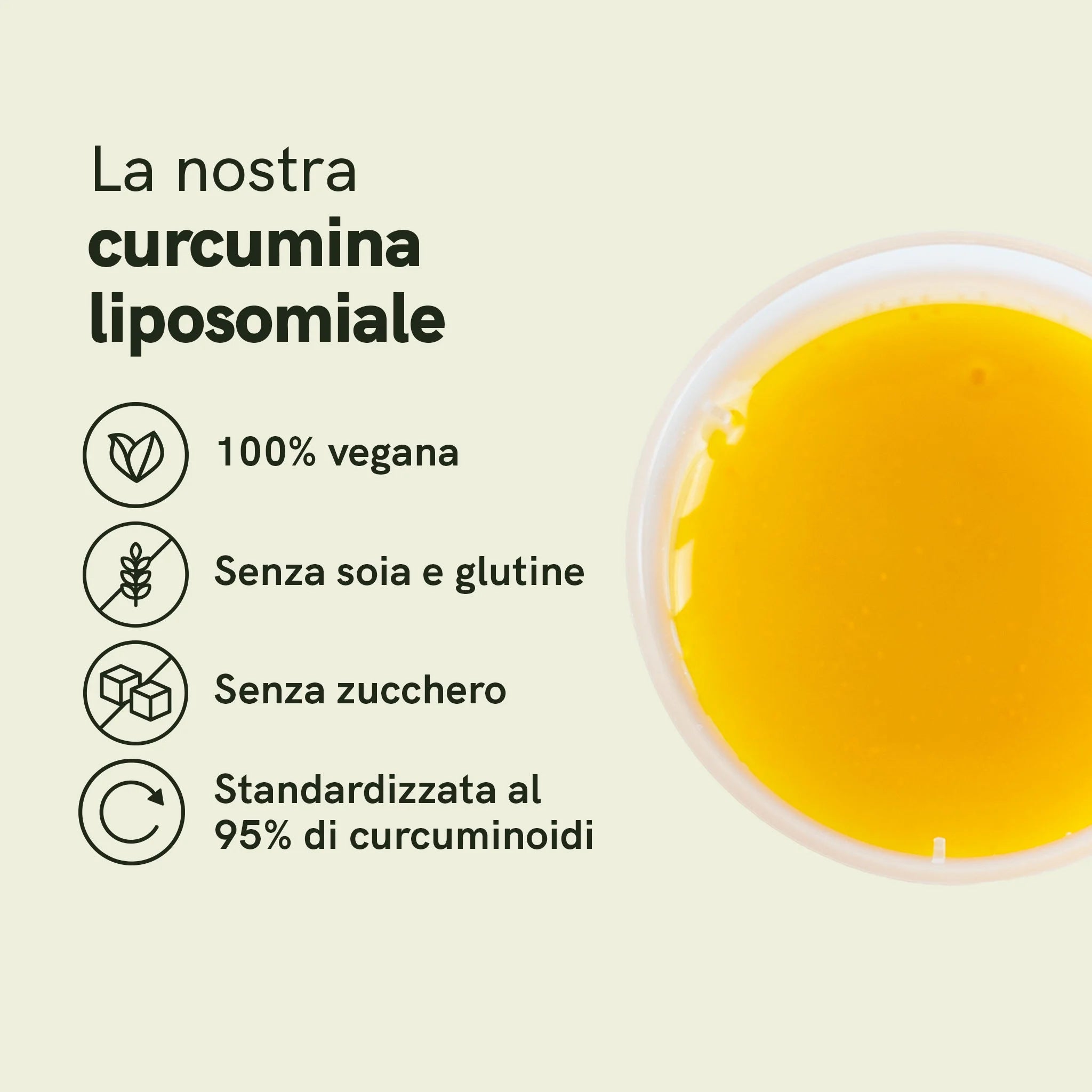 Nordic Oil Curcumina Liposomiale Liquida 250 ml Vegana