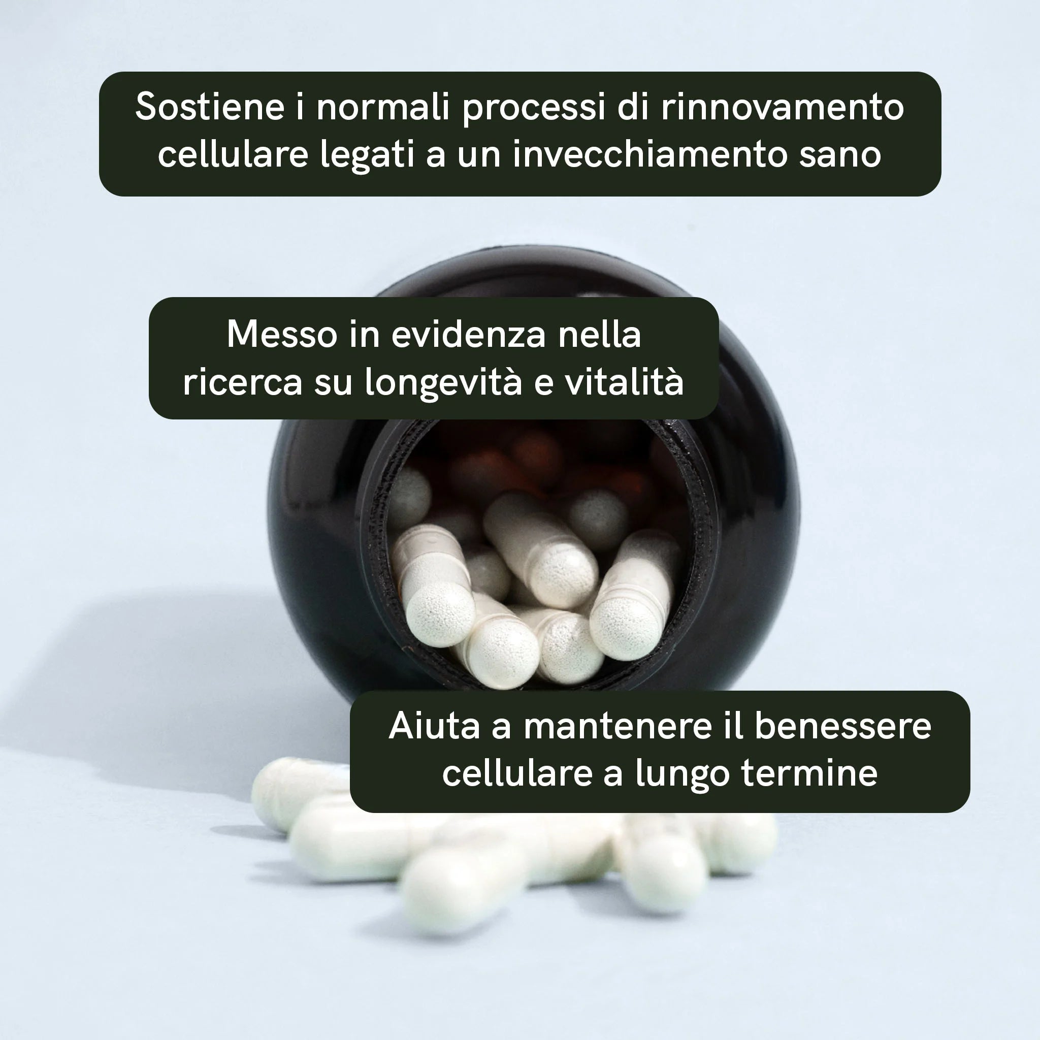 Nordic Oil Spermidina Capsule 120 Capsule Vegane Zinco