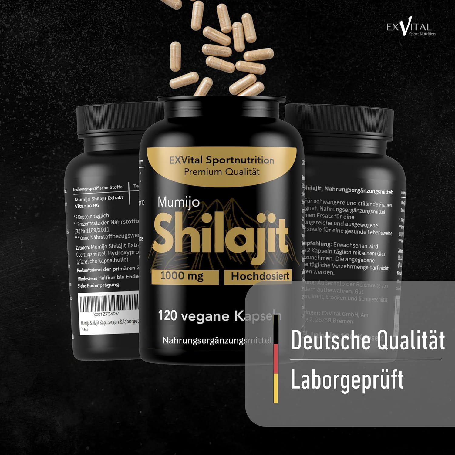 EXVital Gehirn & Fokus Mumijo Shilajit 120 capsule Himalaya