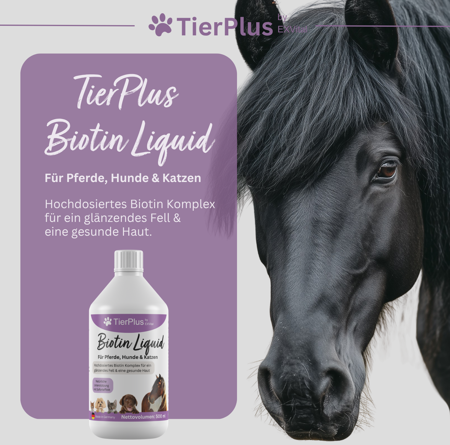EXVital TierPlus Biotina Liquida cavalli cani gatti zinco