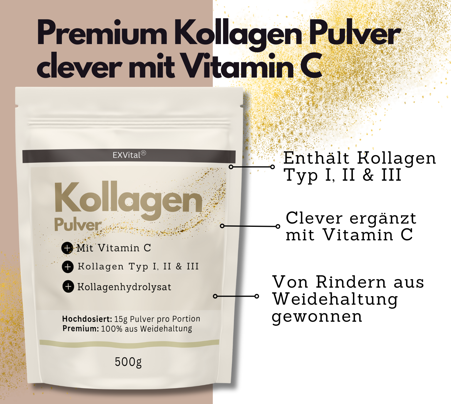EXVital Kollagen Polvere 500g con Vitamina C