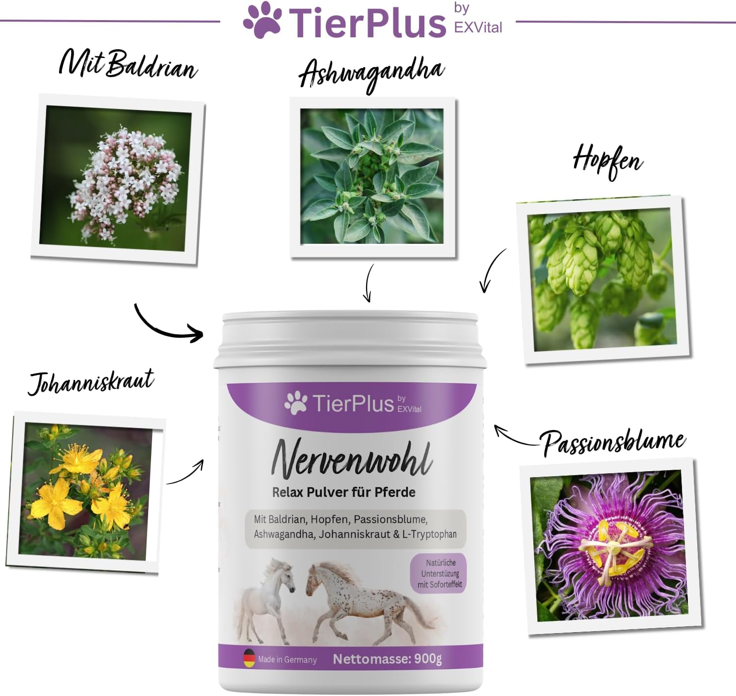 EXVital TierPlus Nervenwohl polvere cavalli 900 g relax