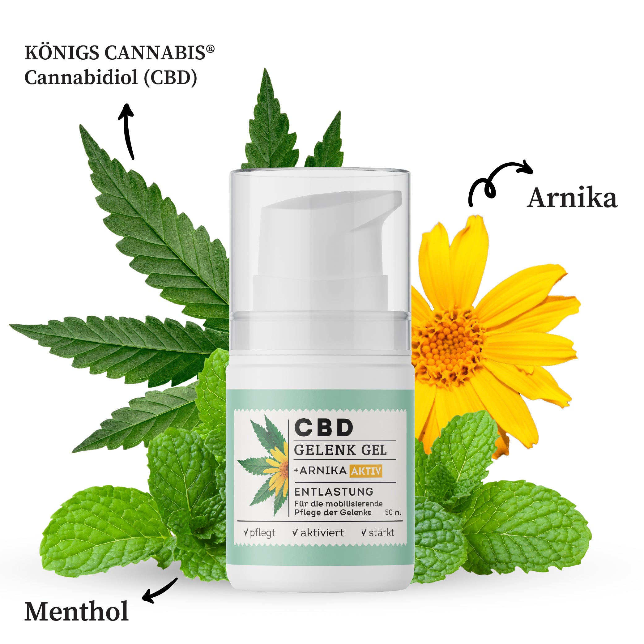 Hanfama Muscle Gelenk gel CBD 200mg arnica rinfrescante