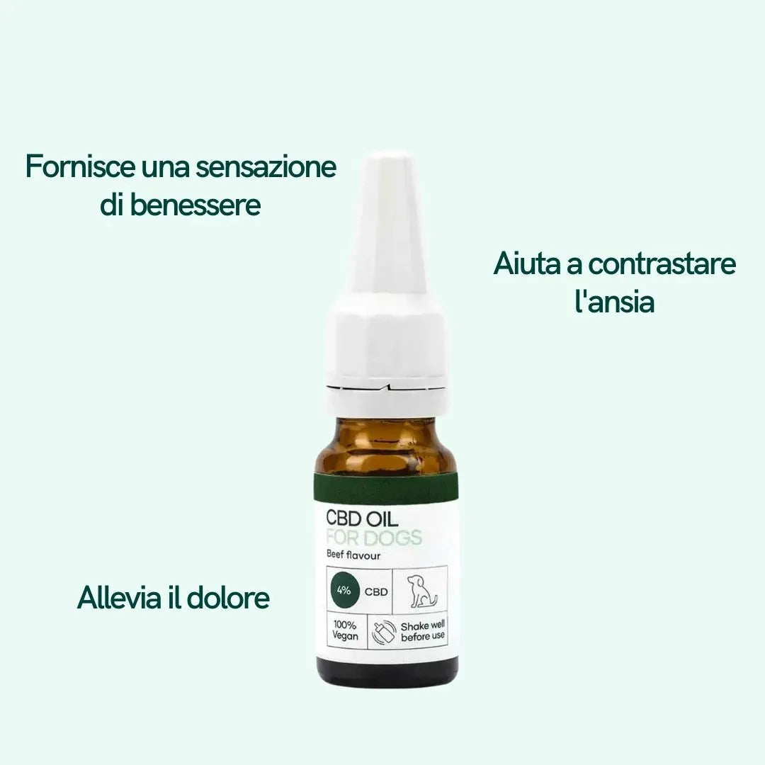 Nordic Oil Plus Olio CBD per Cani manzo benessere